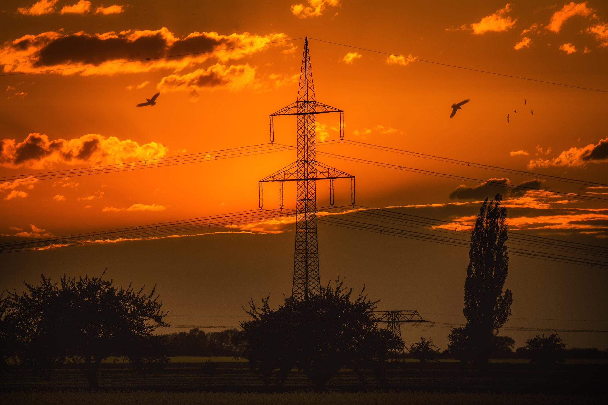 Nikon D4 sample photo. The colour of electricity photography