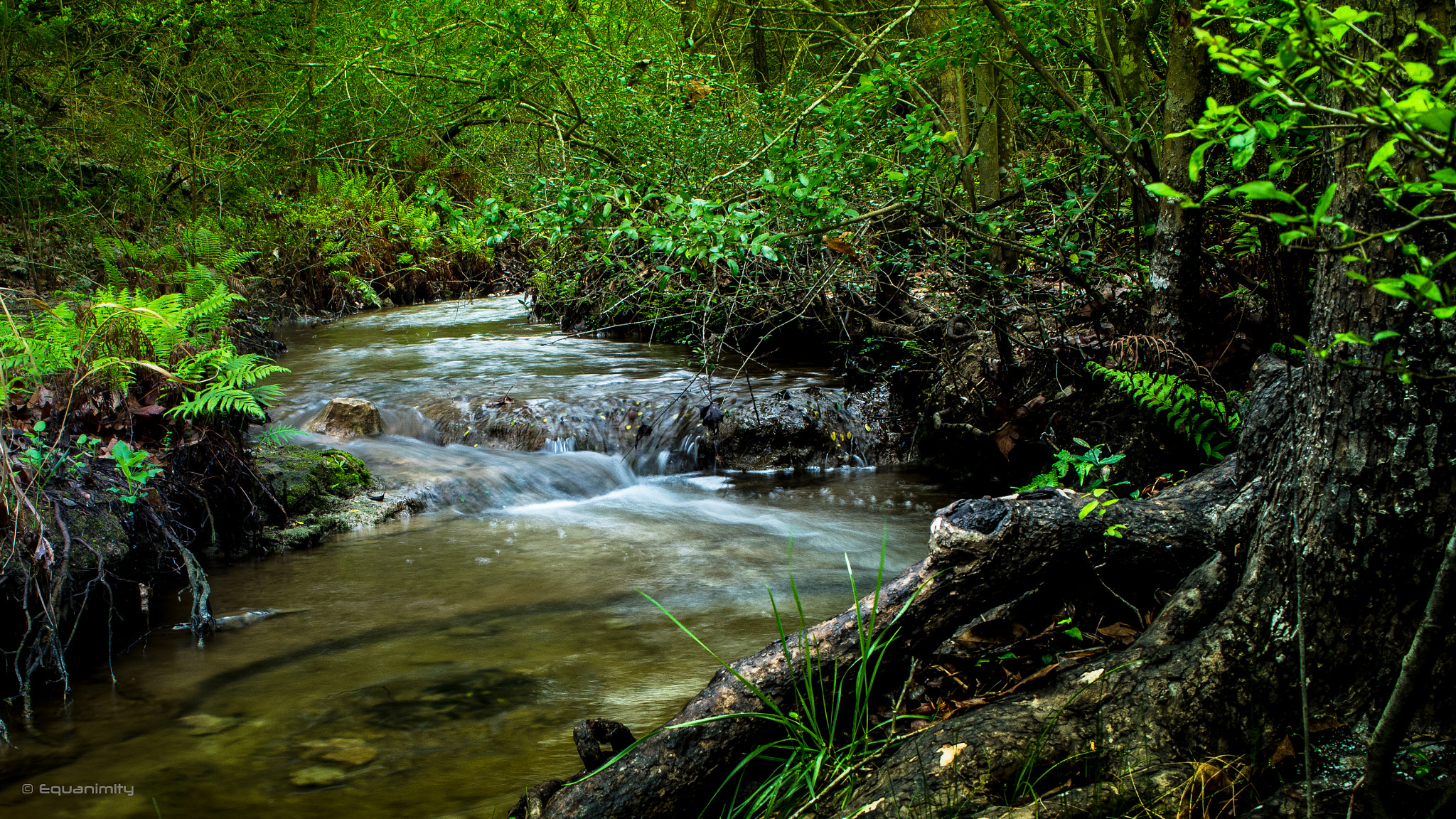 Canon EF-S 24mm F2.8 STM sample photo. Creek@wild basin nature preserve photography