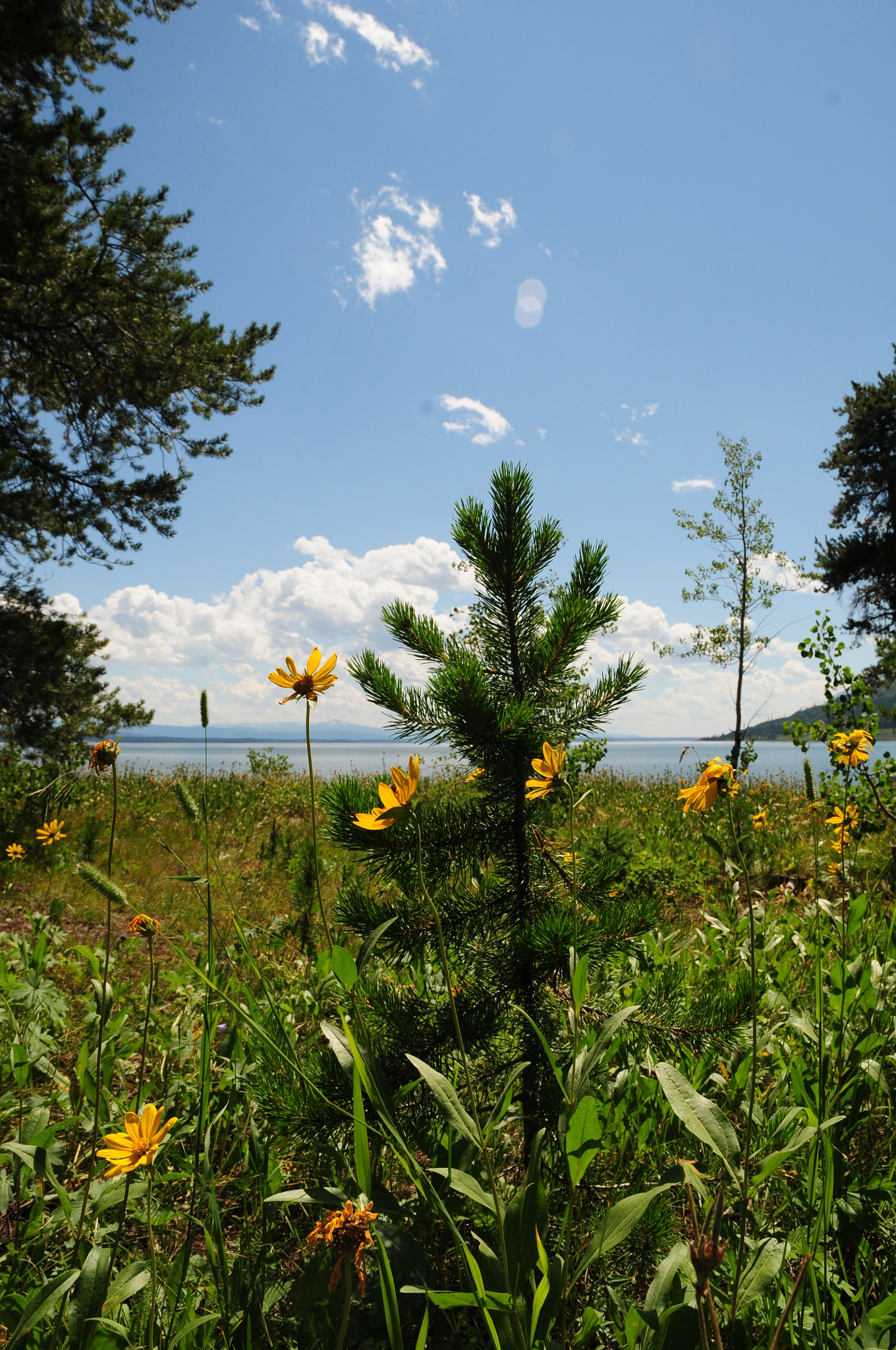 Nikon D300S sample photo. Tlf photography