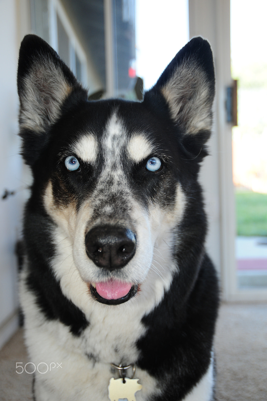 Nikon D300S sample photo. Larry photography