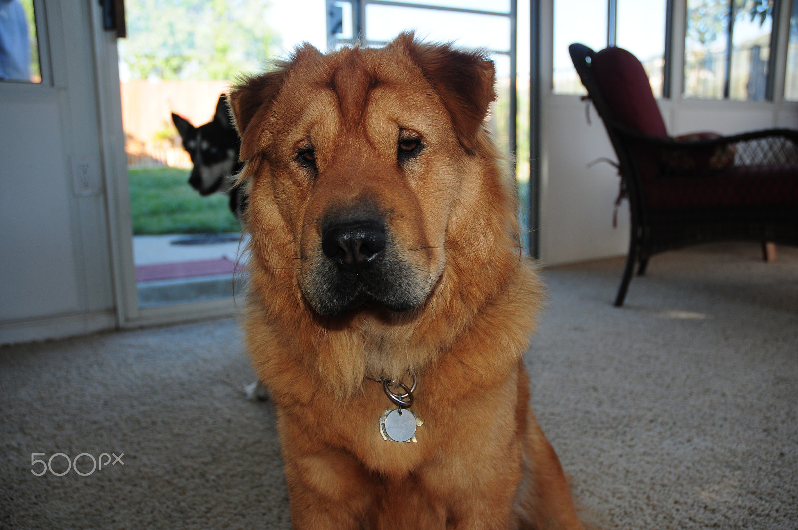 Nikon D300S sample photo. Theo photography