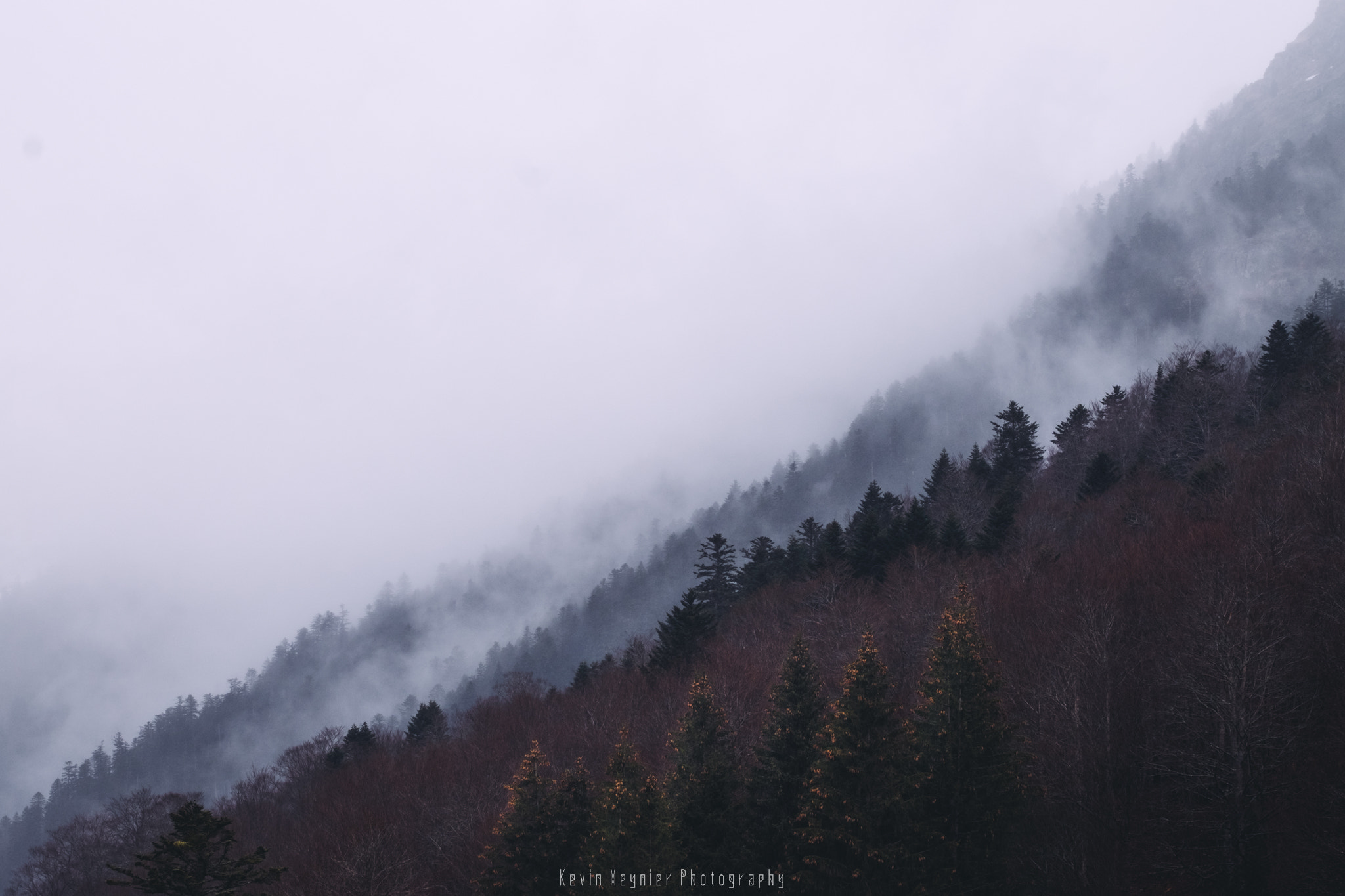 Fujifilm X-T1 + Fujifilm XF 90mm F2 R LM WR sample photo. La tête dans les nuages photography