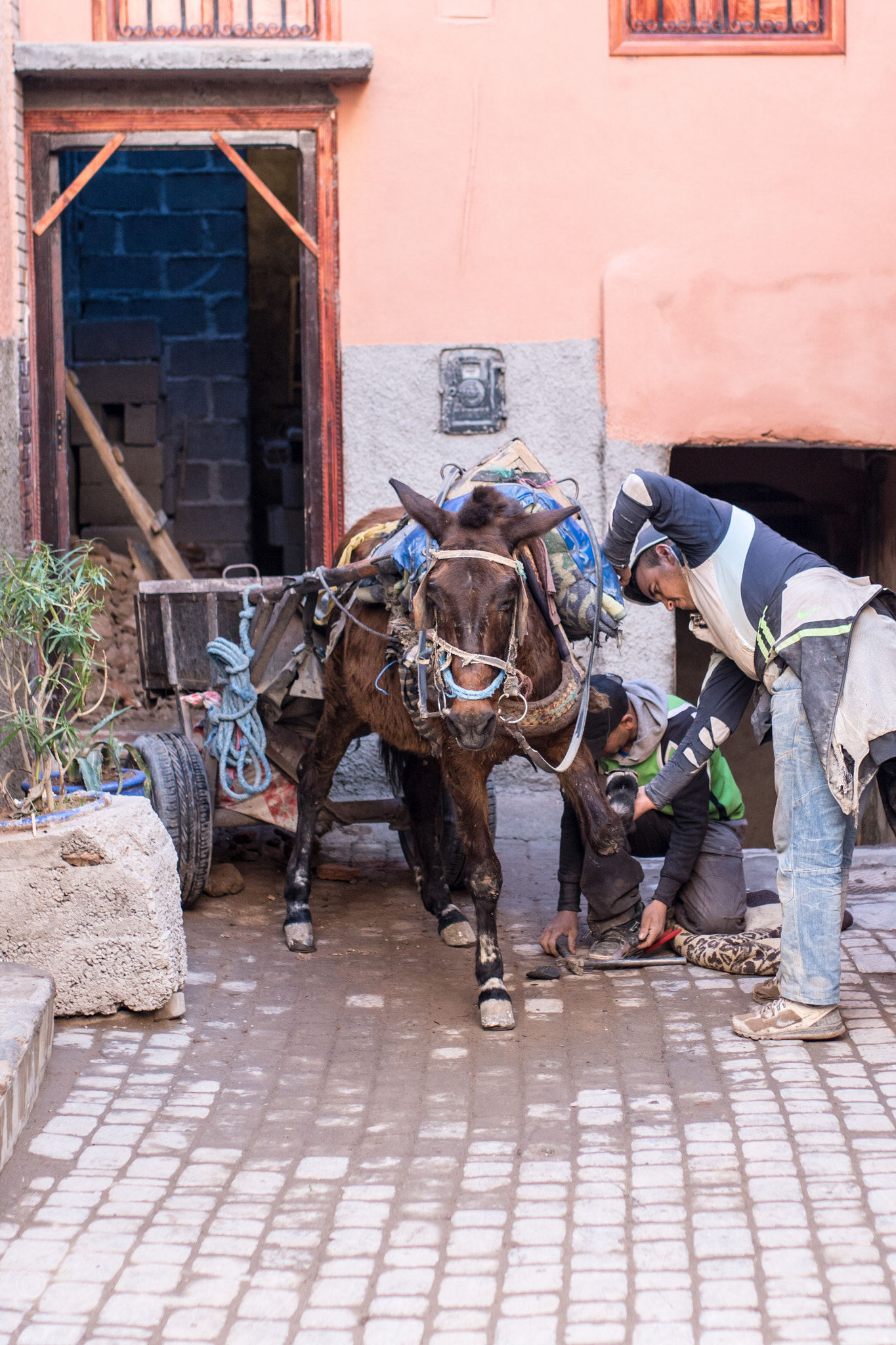 Sony ILCA-77M2 + Sigma 35mm F1.4 DG HSM Art sample photo. Tire change..... photography