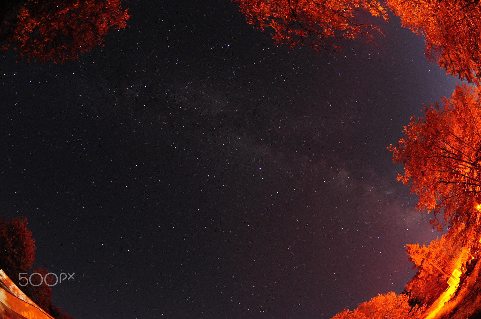 Nikon AF DX Fisheye-Nikkor 10.5mm F2.8G ED sample photo. Milky way1 photography