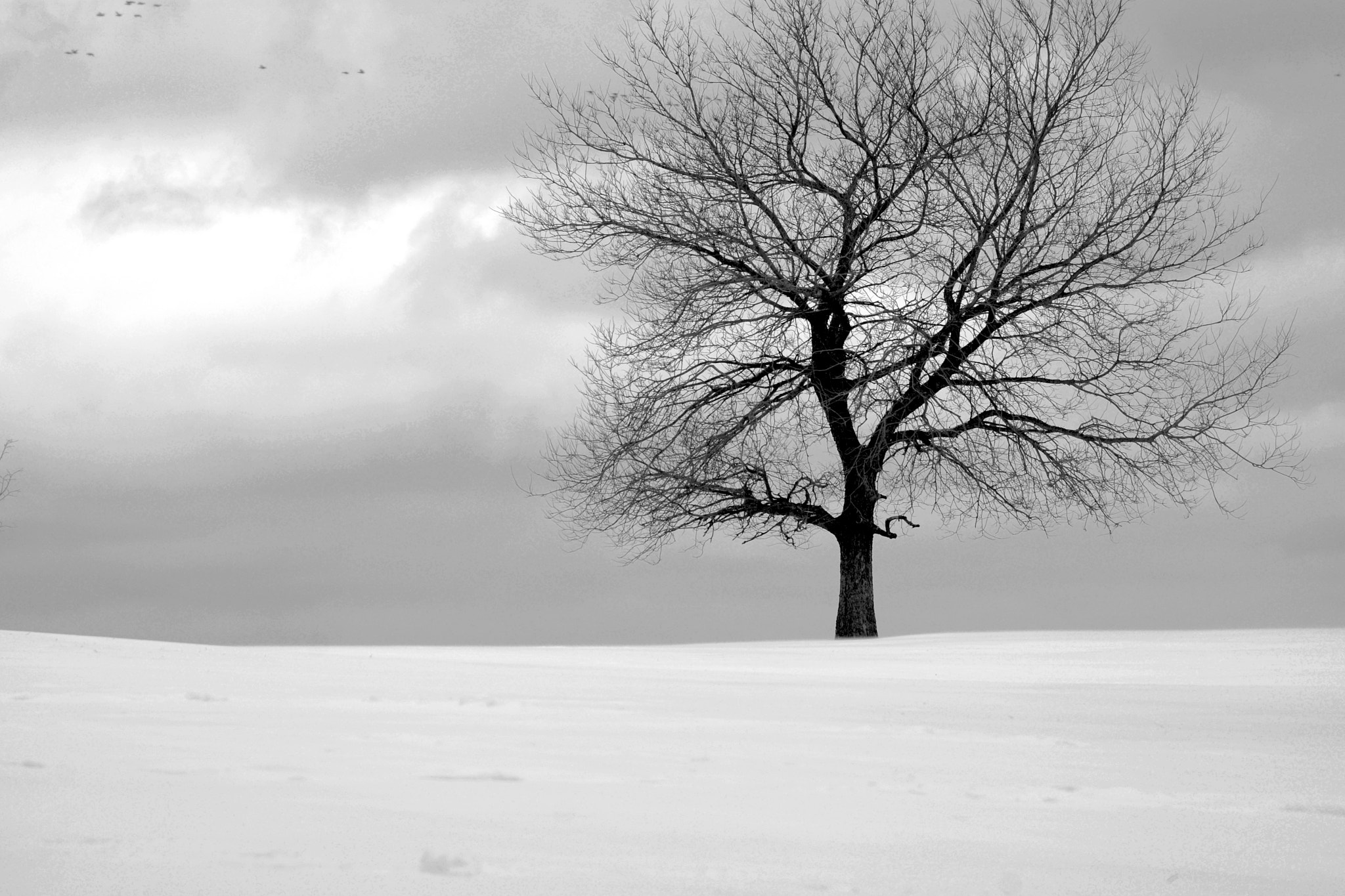 Nikon AF-S Nikkor 24-120mm F4G ED VR sample photo. Solitude photography
