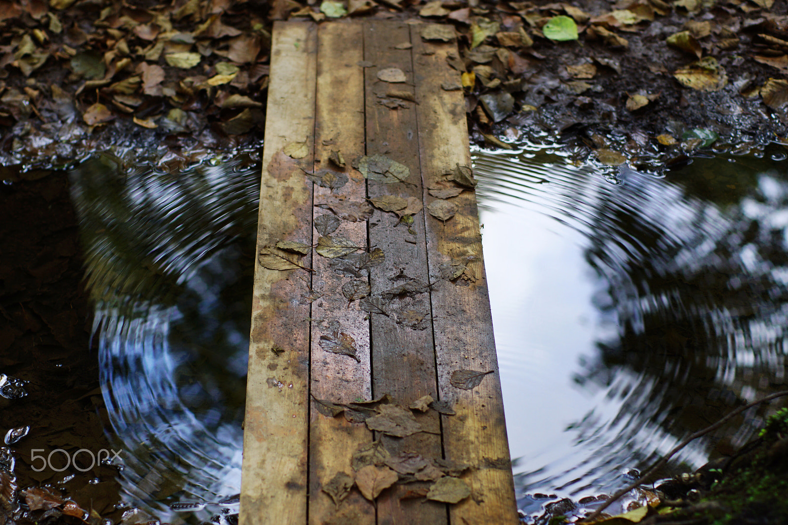 Sony SLT-A65 (SLT-A65V) sample photo. Wooden bridge over stream, circles on water, reflection of autumn trees. photography