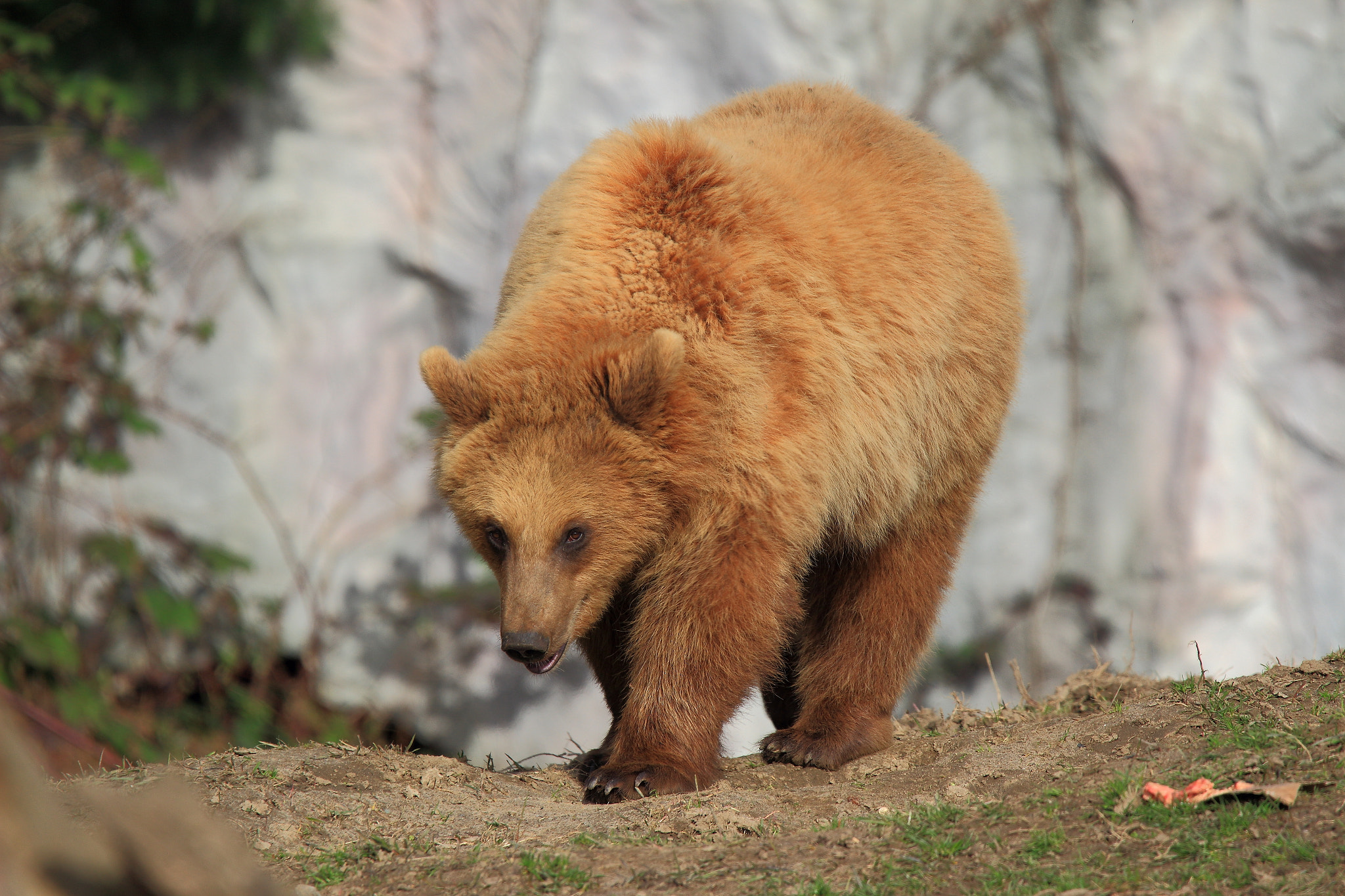 Tamron SP 150-600mm F5-6.3 Di VC USD sample photo. Img photography