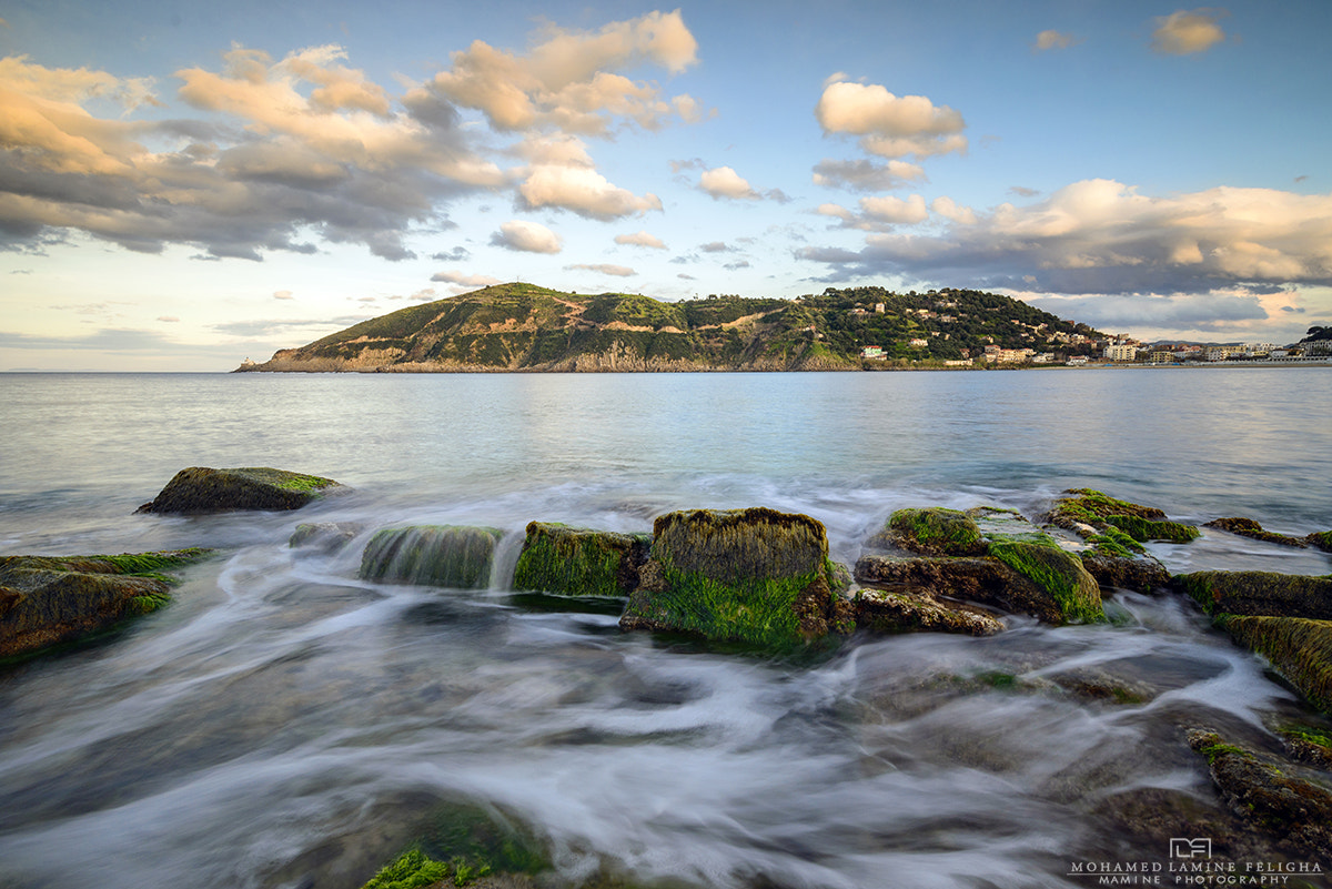 Nikon AF-S Nikkor 18-35mm F3.5-4.5G ED sample photo. Collo القل photography