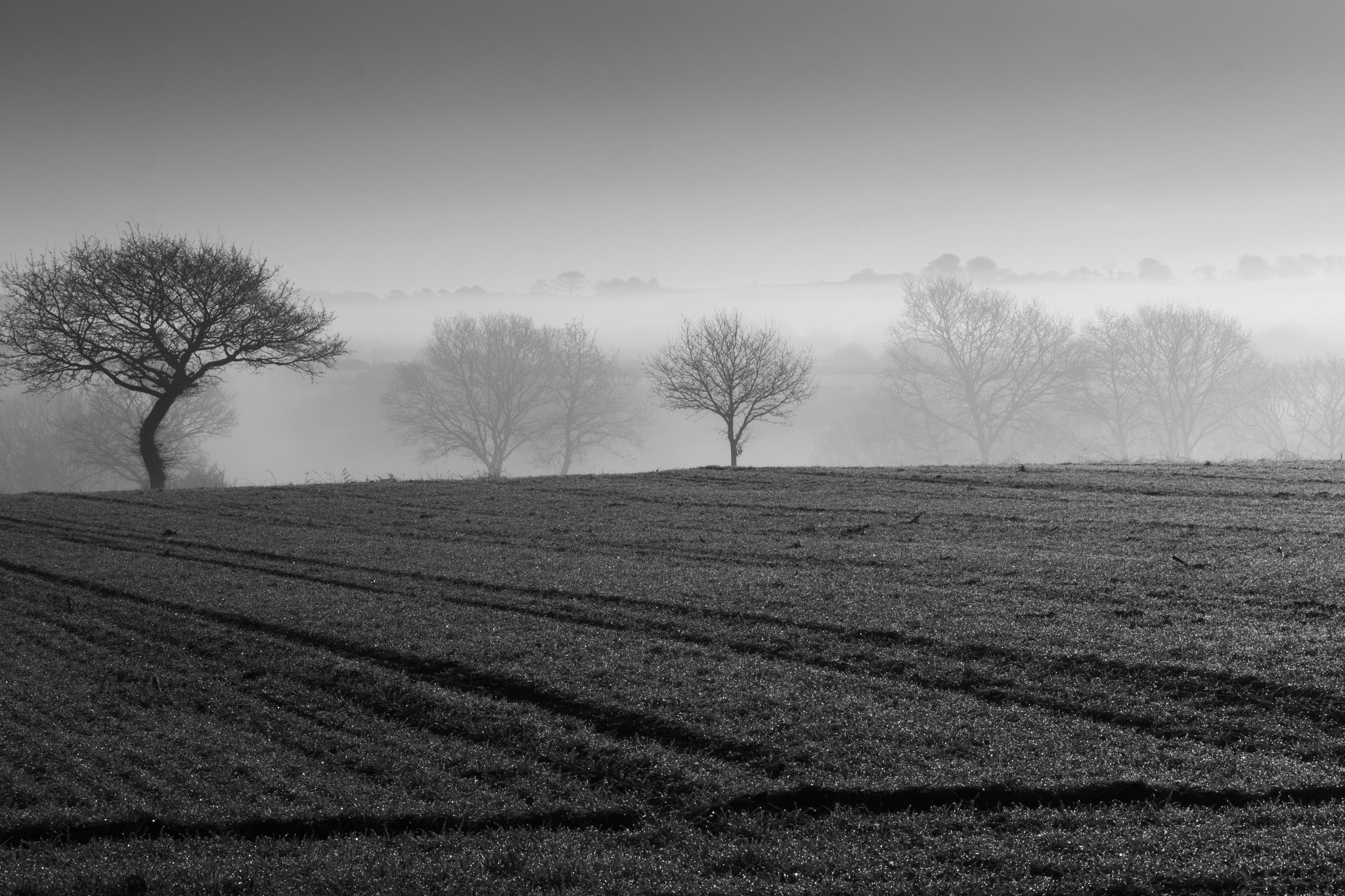 Canon EOS 700D (EOS Rebel T5i / EOS Kiss X7i) + Canon EF 70-200mm F4L USM sample photo. Misty morning photography