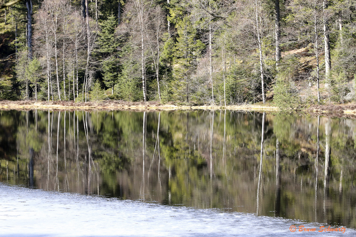 Canon EOS 70D + Canon EF 70-200mm F4L USM sample photo. Reflets photography