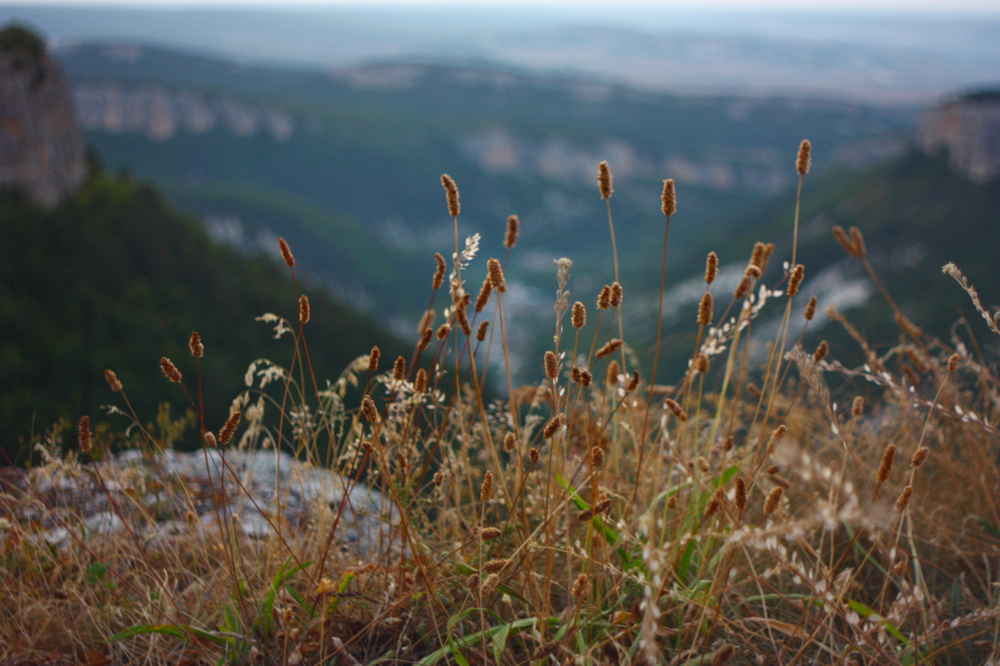 Canon EF 35-80mm f/4-5.6 sample photo. Grass in the mountains photography
