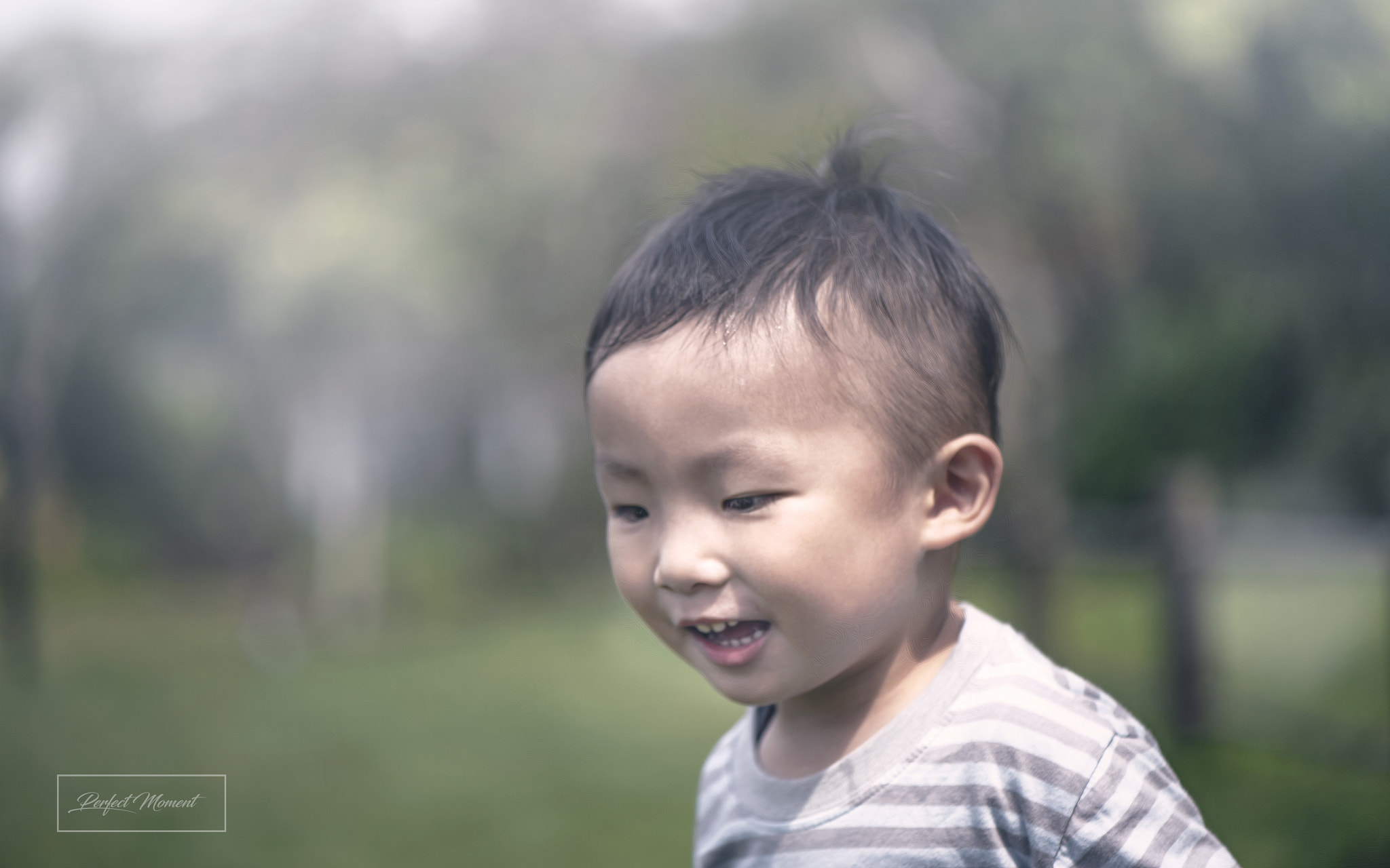 Nikon AF-S Micro-Nikkor 105mm F2.8G IF-ED VR sample photo. Skt photography
