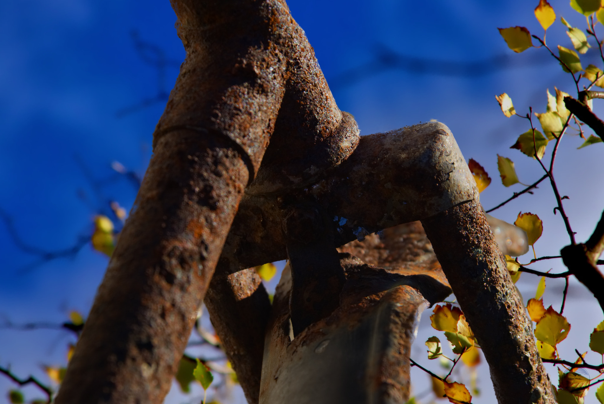 Sony DT 18-135mm F3.5-5.6 SAM sample photo. Bicycle skies photography