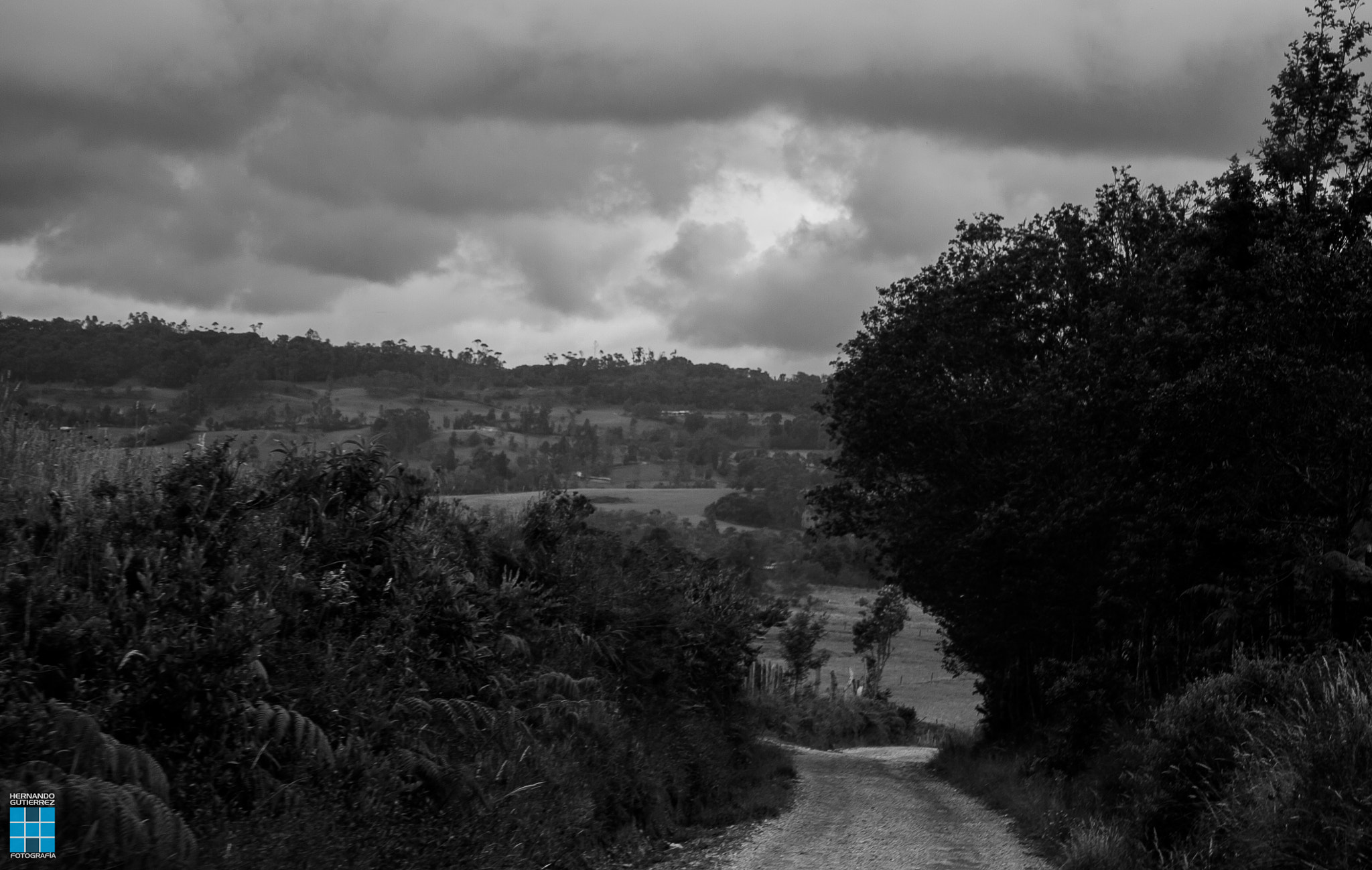Canon EF-S 18-55mm F3.5-5.6 IS sample photo. Camino photography
