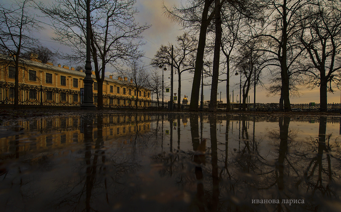 Nikon AF-S Nikkor 14-24mm F2.8G ED sample photo. мой Петербург photography