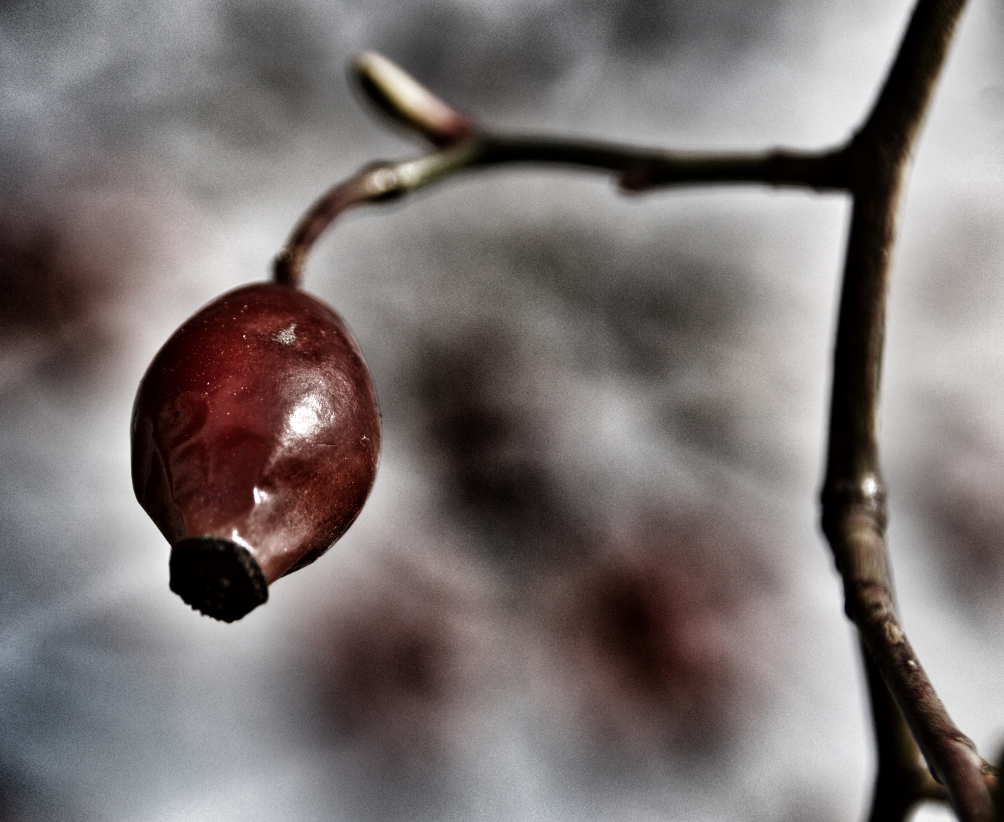 Sigma 18-250mm F3.5-6.3 DC OS HSM sample photo. Wild nature... photography