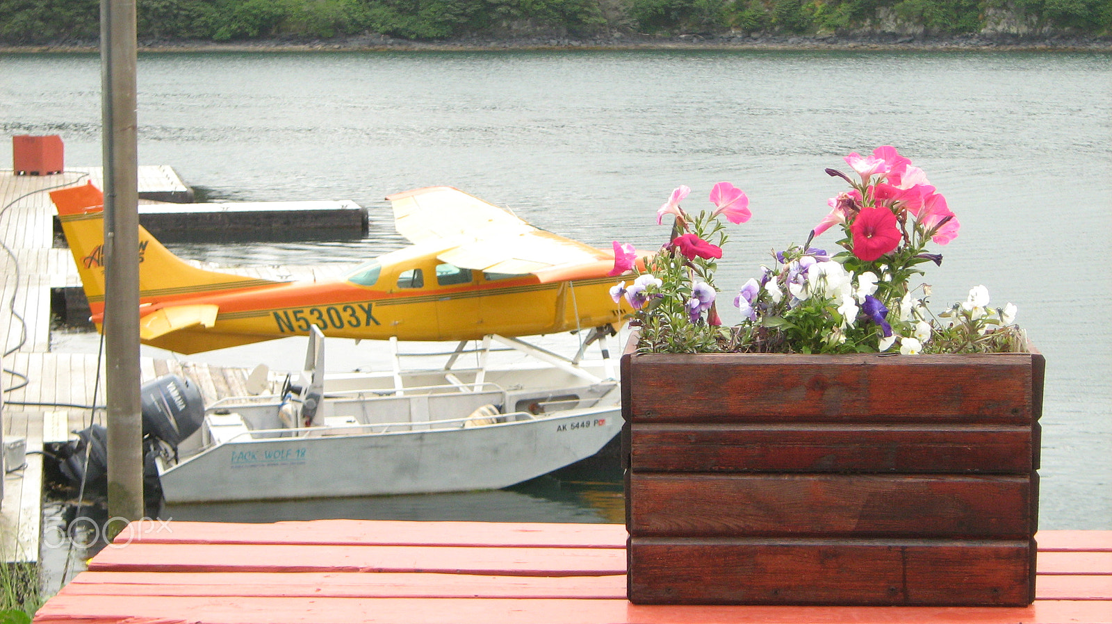 Canon POWERSHOT A460 sample photo. Flowers, aeroplane and boat photography