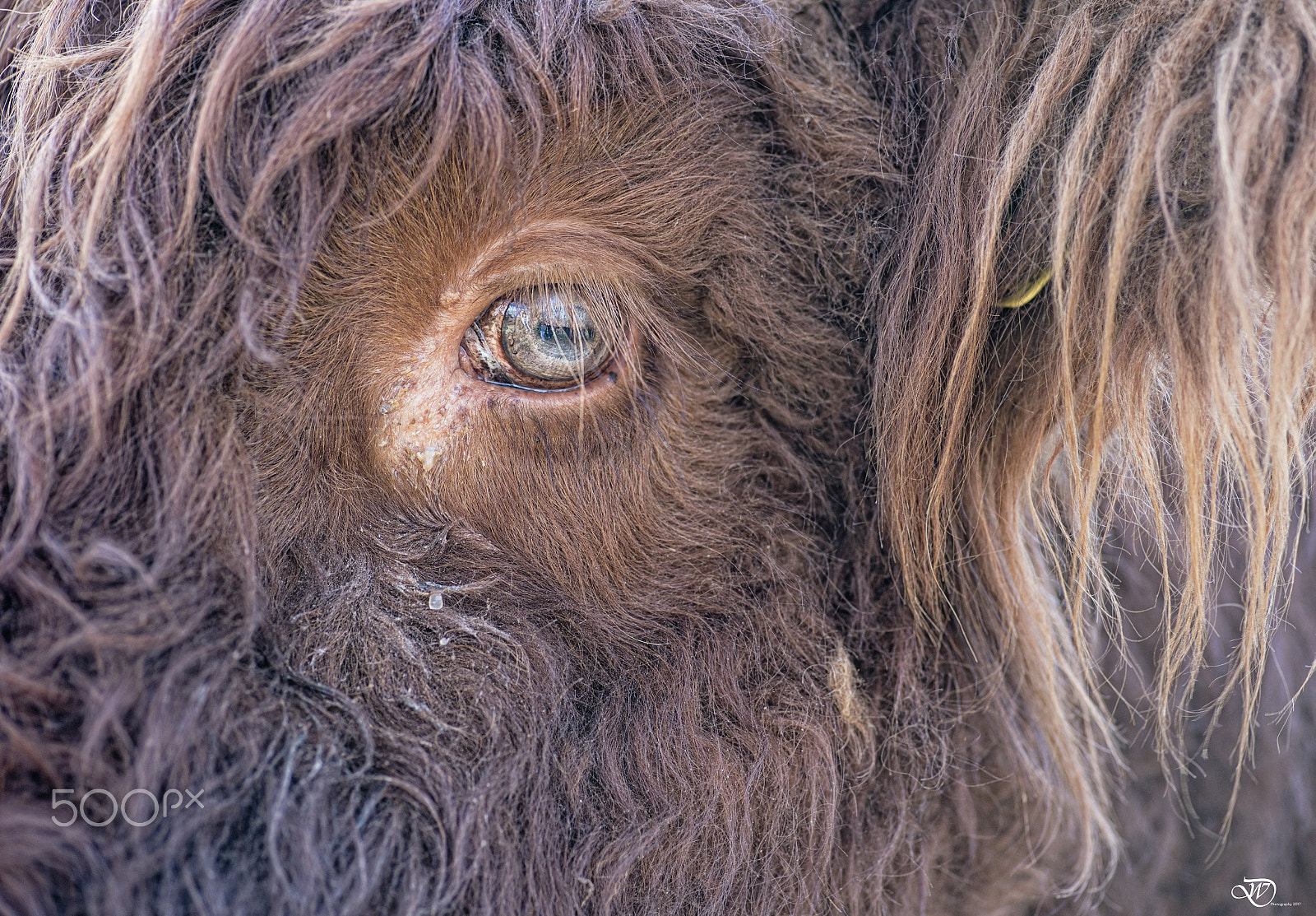 Tokina AT-X Pro 100mm F2.8 Macro sample photo. The eye photography