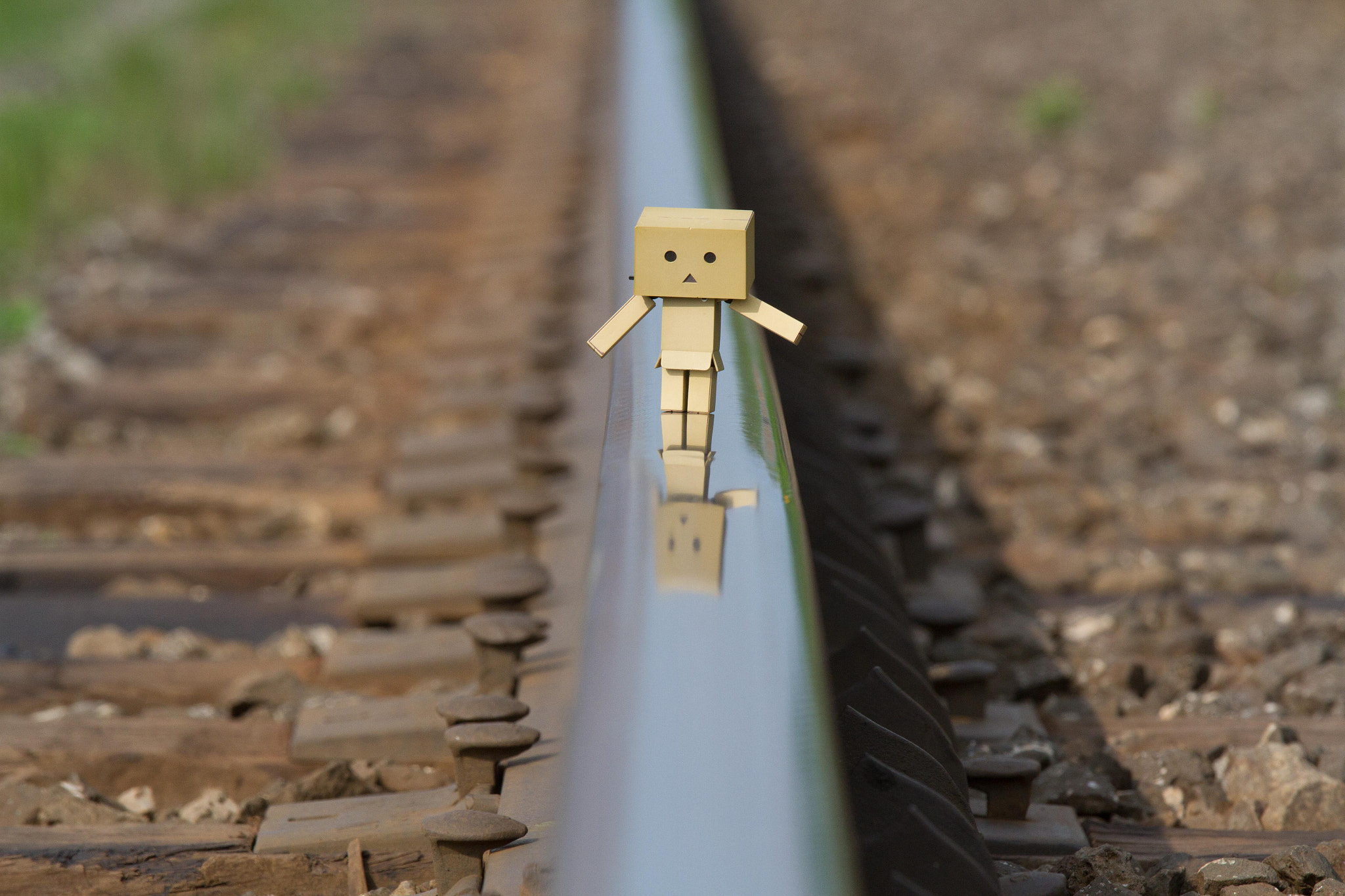 Canon EOS 7D + Canon EF 70-200mm F4L IS USM sample photo. Danbo photography