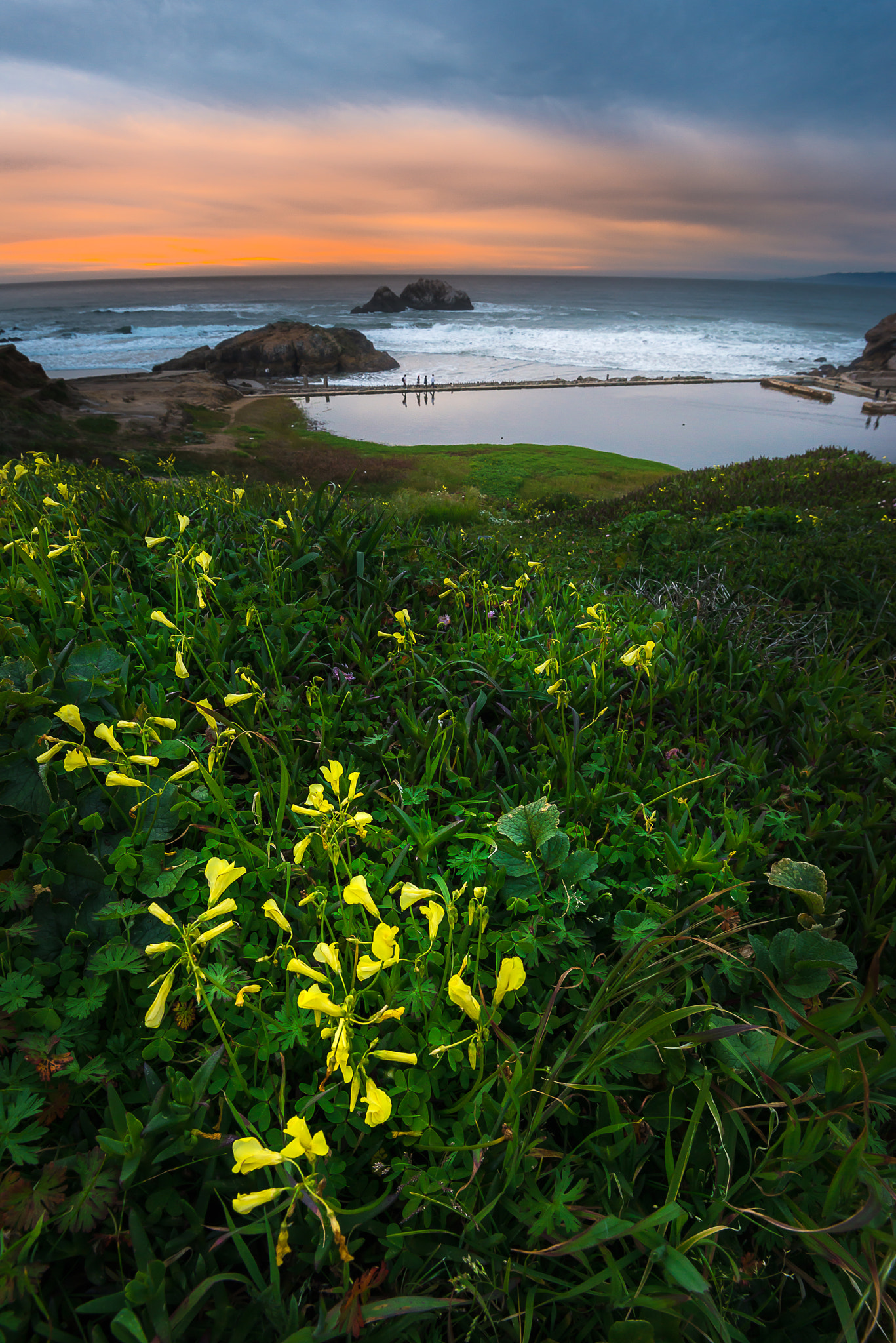Nikon D800E sample photo. Sutro baths sunset photography