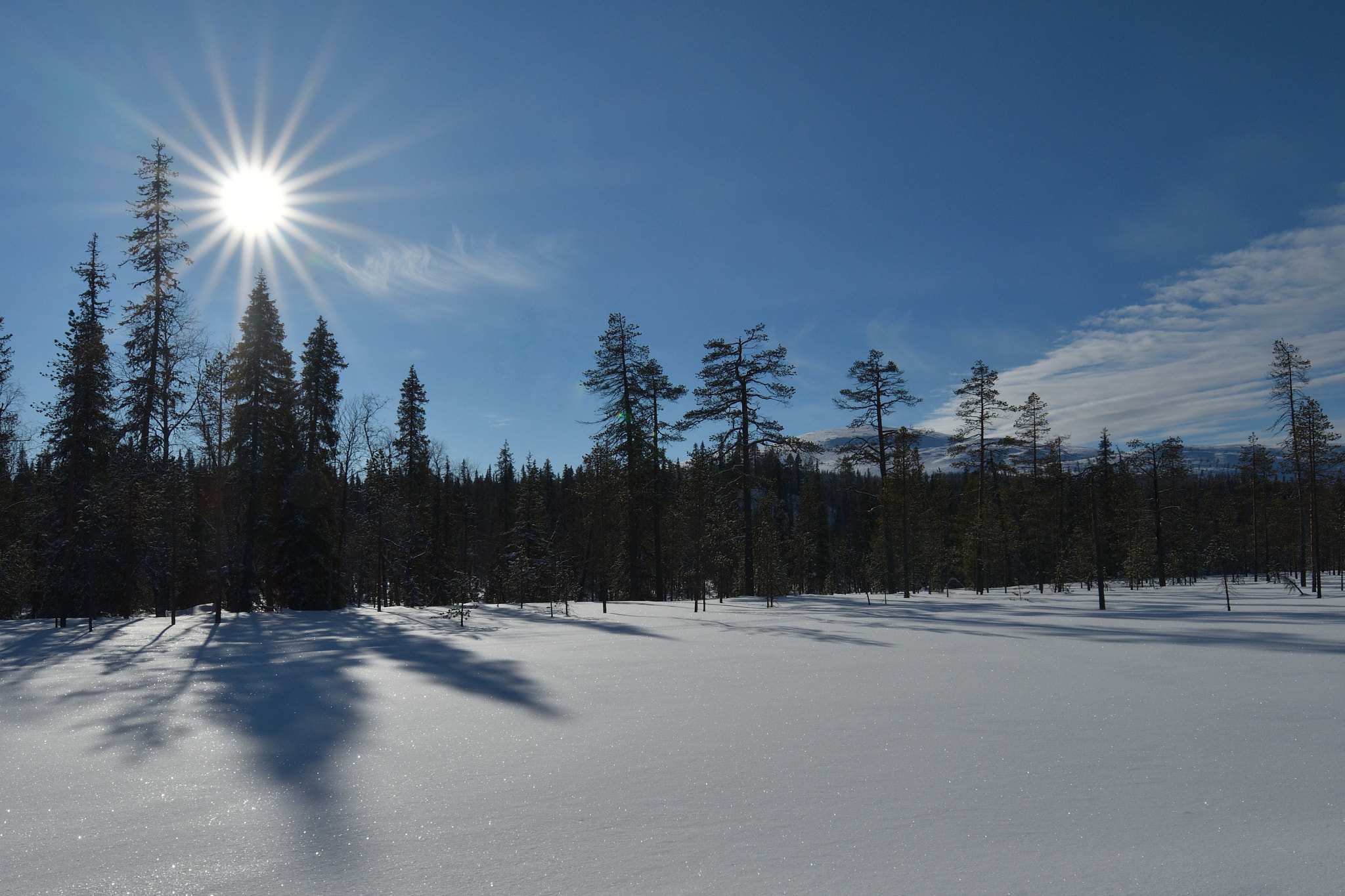 Tamron SP 15-30mm F2.8 Di VC USD sample photo. Winter holiday 2017 photography