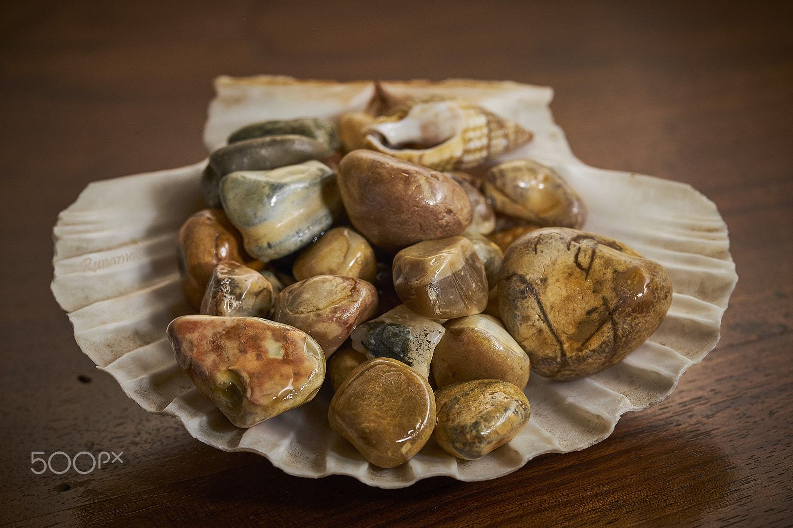 Sigma 105mm F2.8 EX DG OS HSM sample photo. Shells and stones photography