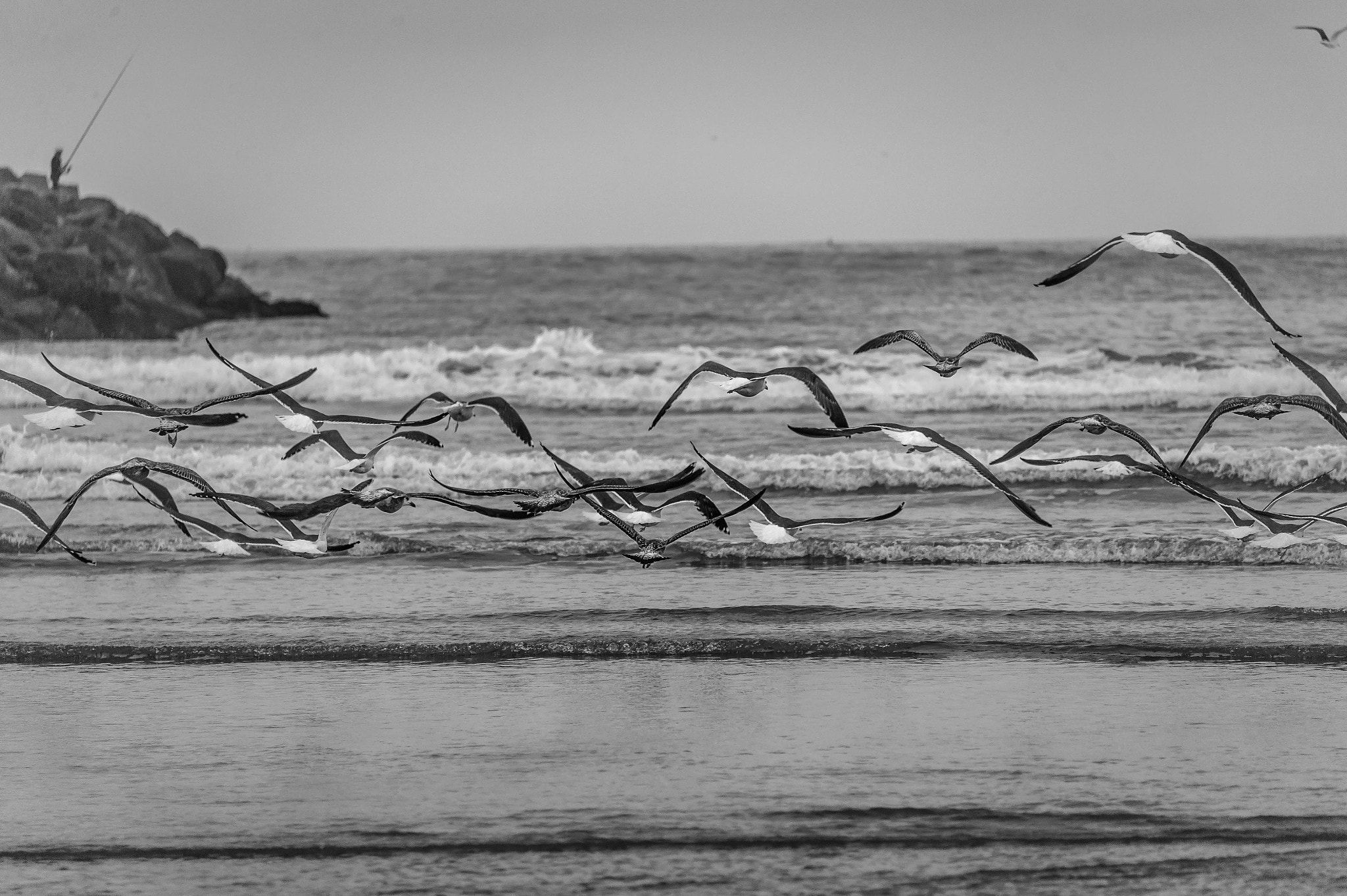 Nikon D4S sample photo. Plage rabat photography