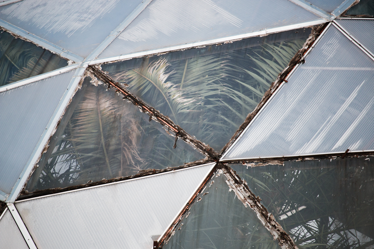 Canon EF-S 55-250mm F4-5.6 IS STM sample photo. Greenhouse photography