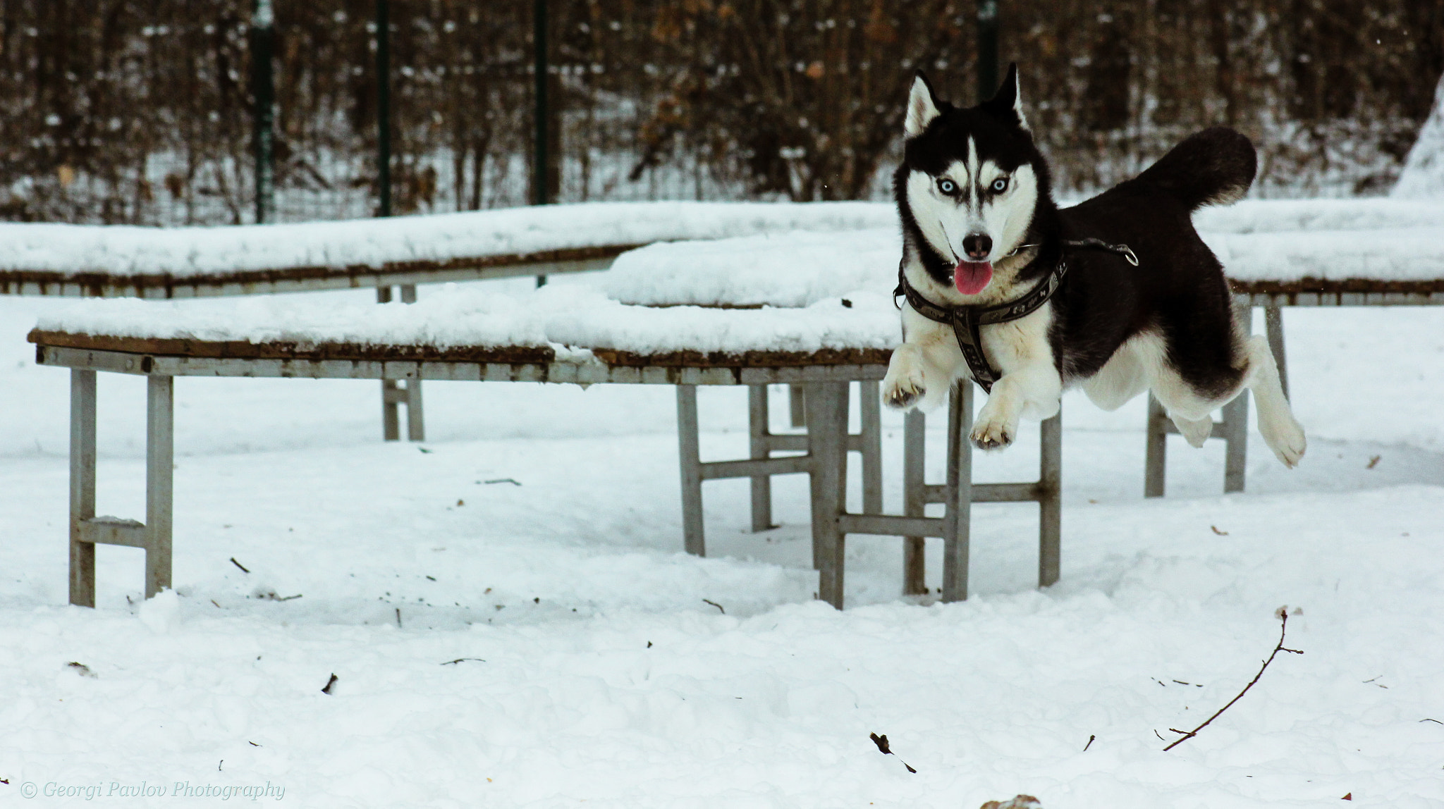 Canon EOS 550D (EOS Rebel T2i / EOS Kiss X4) + EF75-300mm f/4-5.6 sample photo. I believe i can fly photography