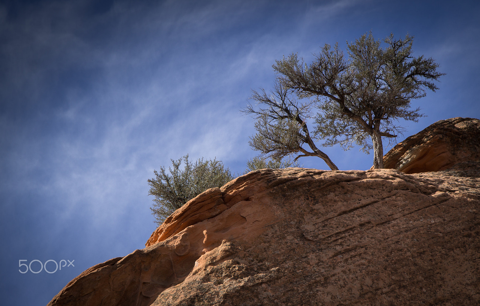 Canon EF-S 17-85mm F4-5.6 IS USM sample photo. Juniper sundown photography