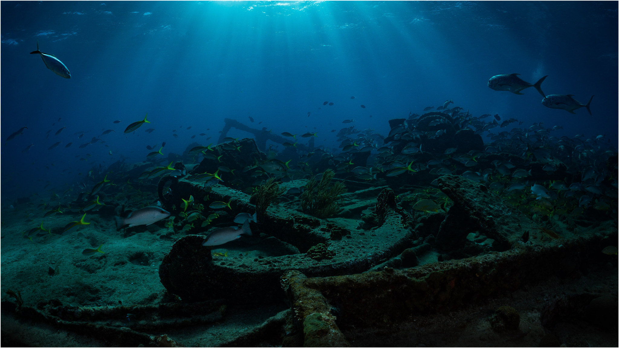 Nikon D800E + Nikon AF Fisheye-Nikkor 16mm F2.8D sample photo. Cave diving in sardinia photography