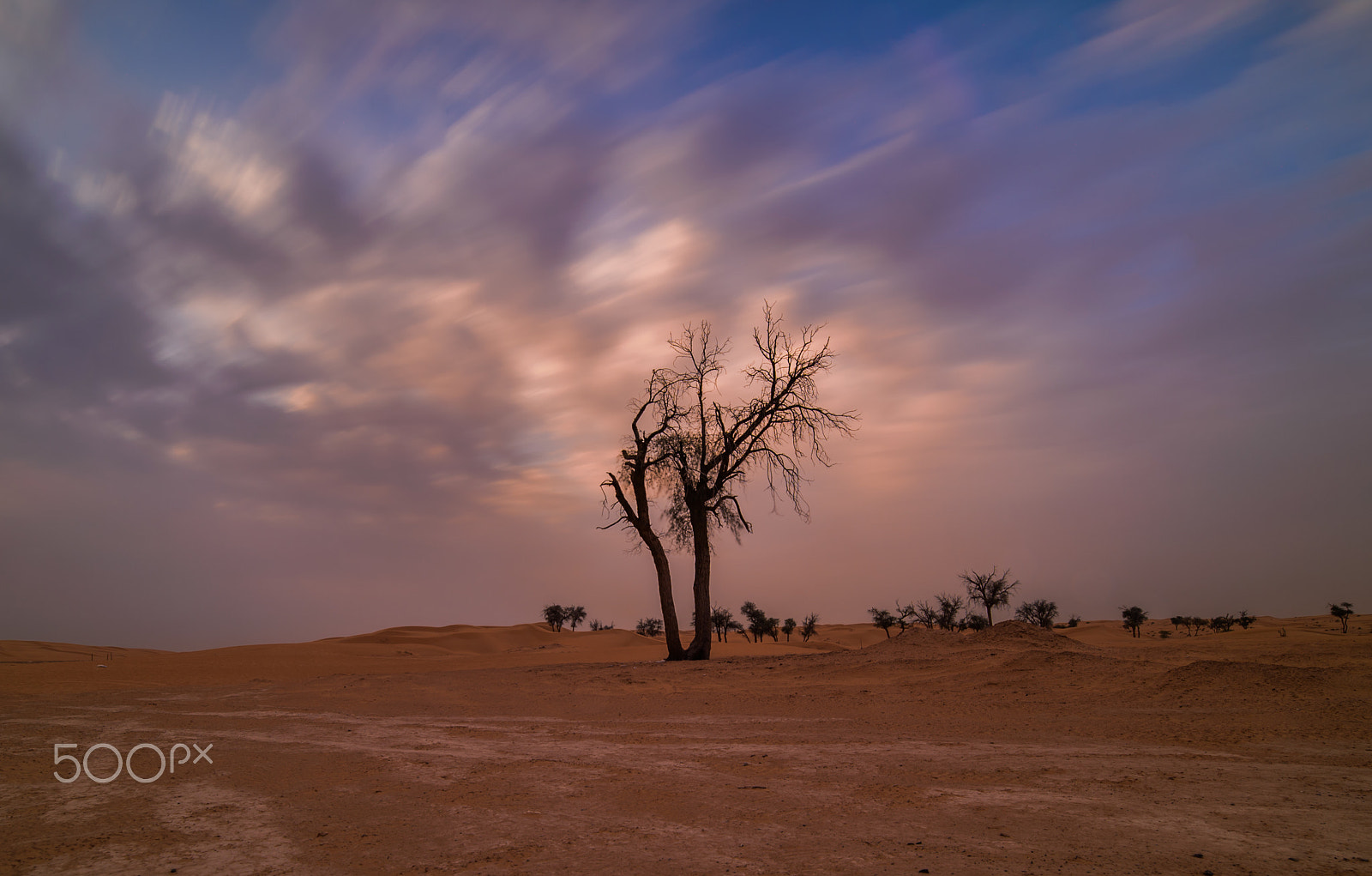 Samyang 14mm F2.8 ED AS IF UMC sample photo. Cloudy desert photography