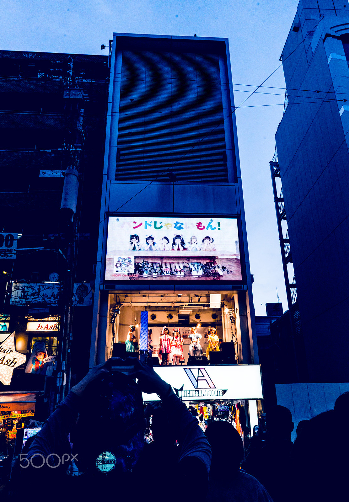 ZEISS Batis 25mm F2 sample photo. バンドじゃないもん! photography