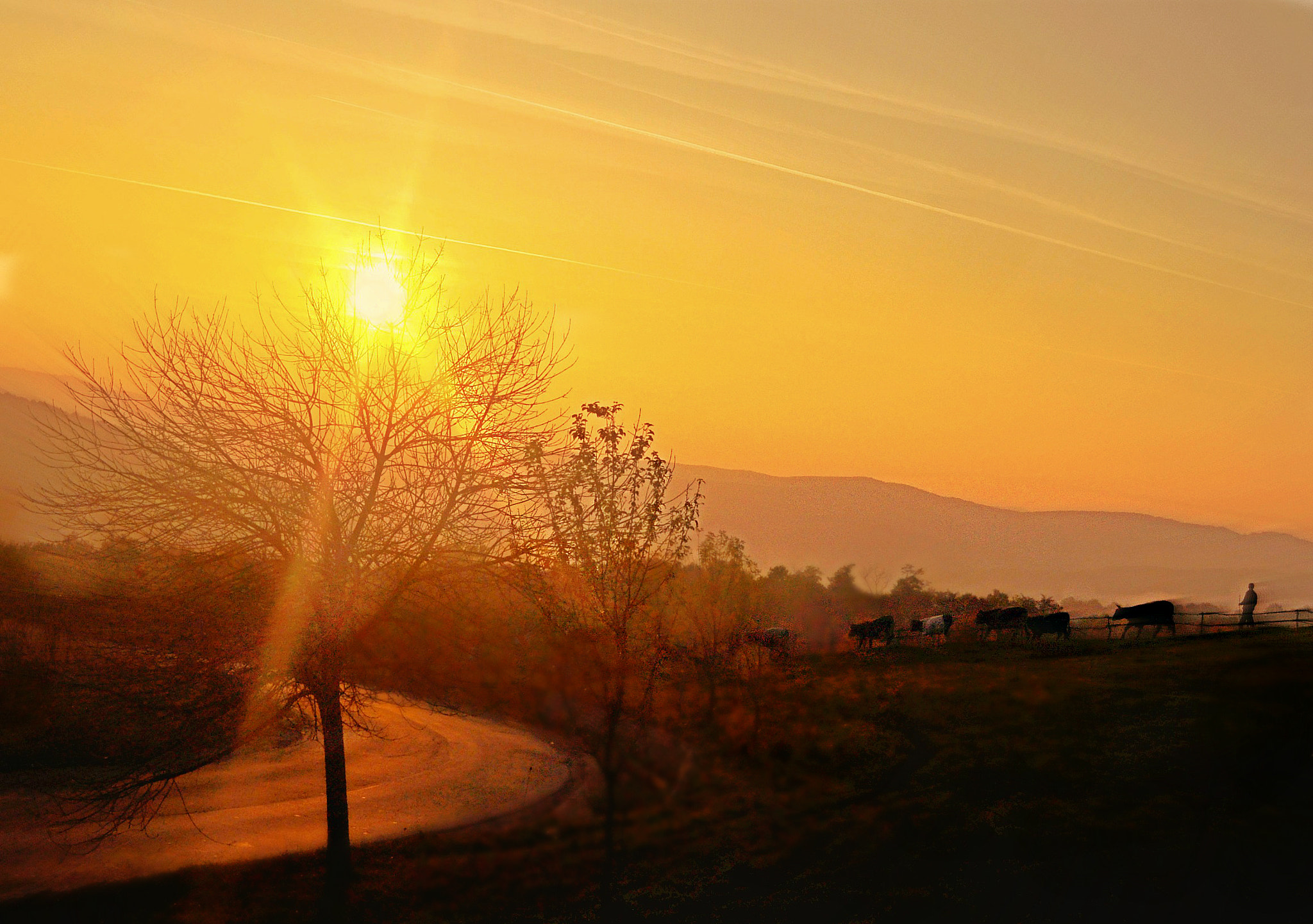 Nikon D5000 sample photo. Ap ve photography