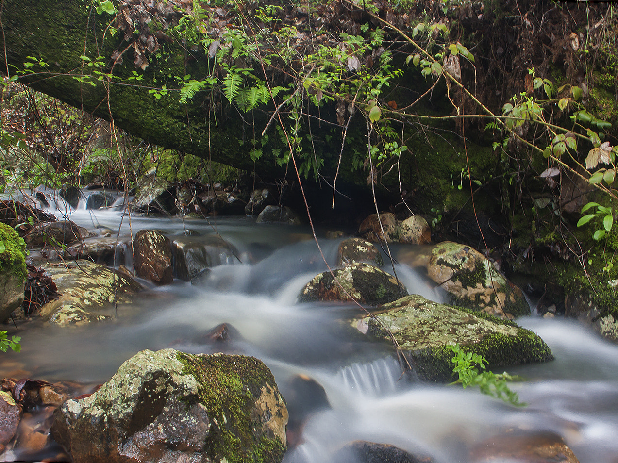 Canon EF 20-35mm F3.5-4.5 USM sample photo. Arroyo photography