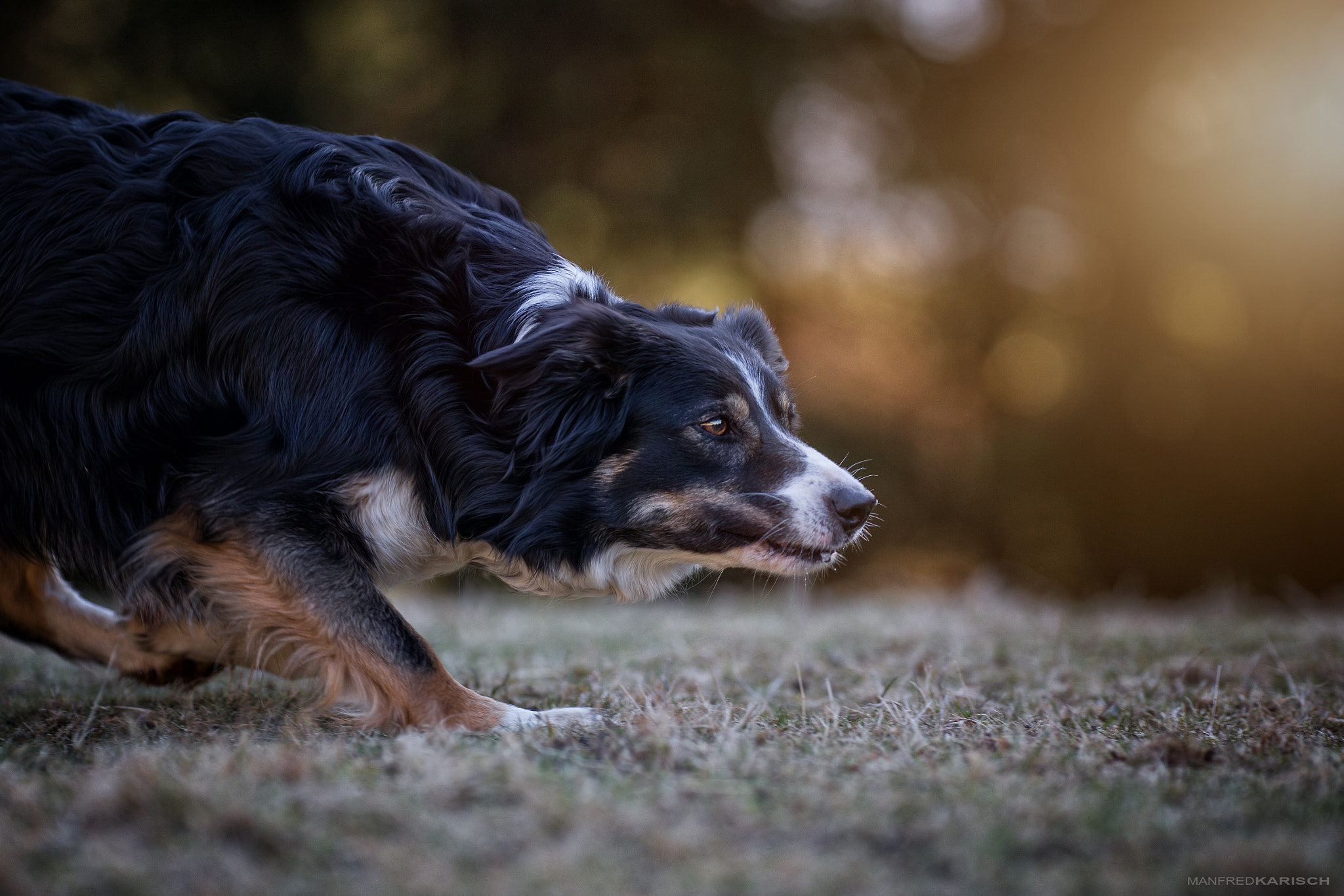 Canon EF 200mm F2.8L II USM sample photo. Working photography