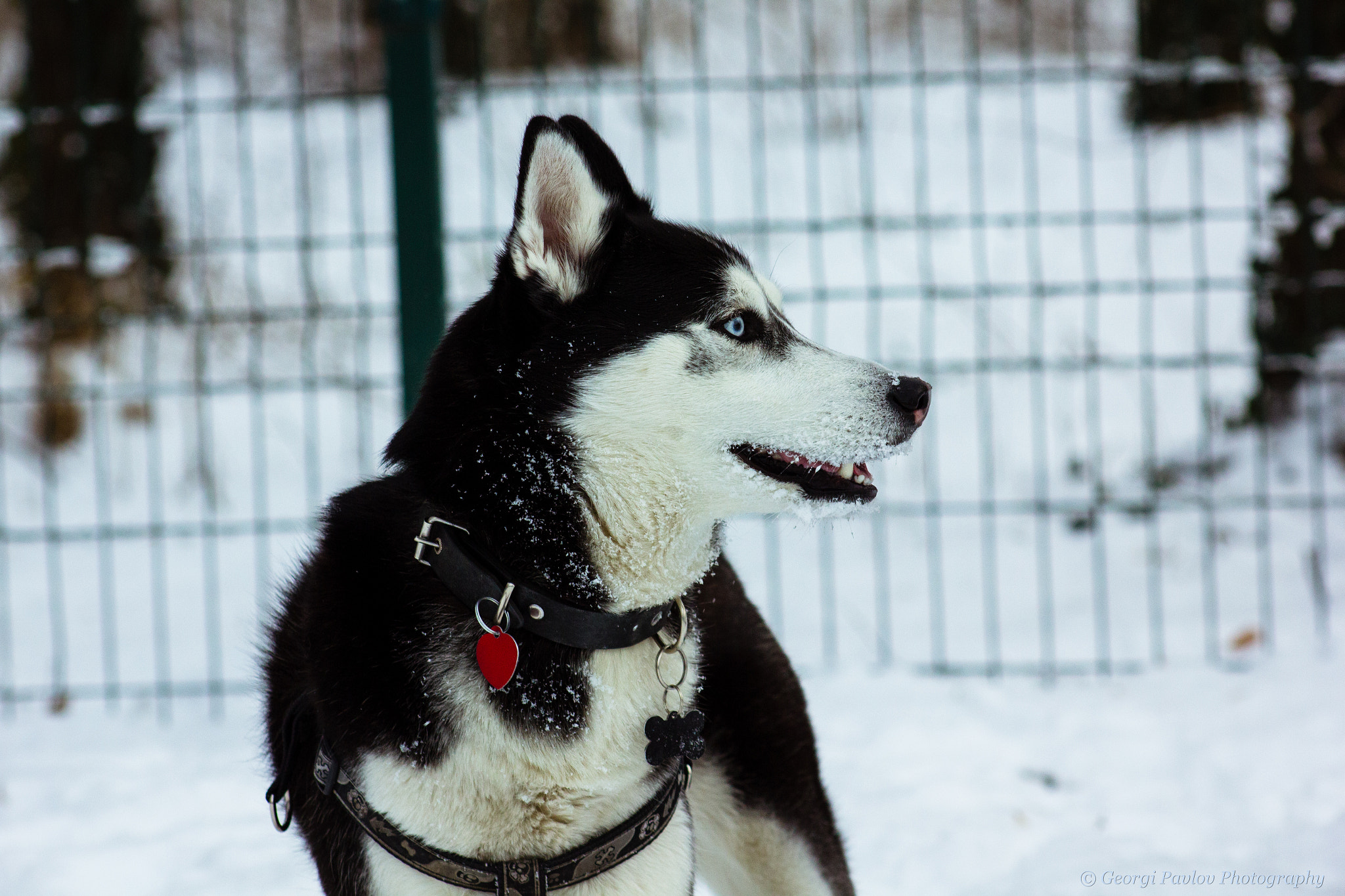 Canon EOS 550D (EOS Rebel T2i / EOS Kiss X4) + EF75-300mm f/4-5.6 sample photo. Happy in her element photography