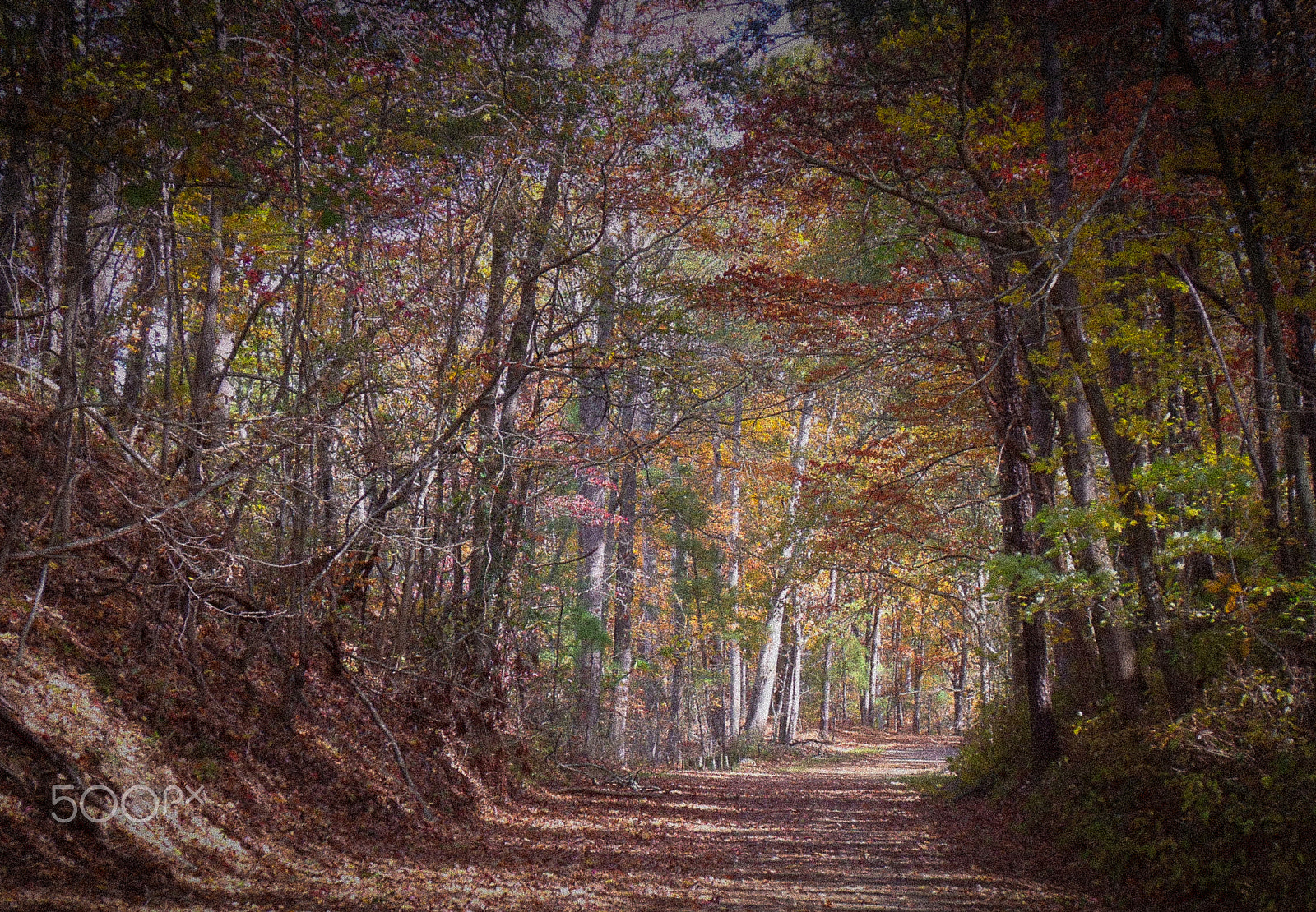 Fujifilm FinePix S1500 sample photo. Old allatoona pass photography