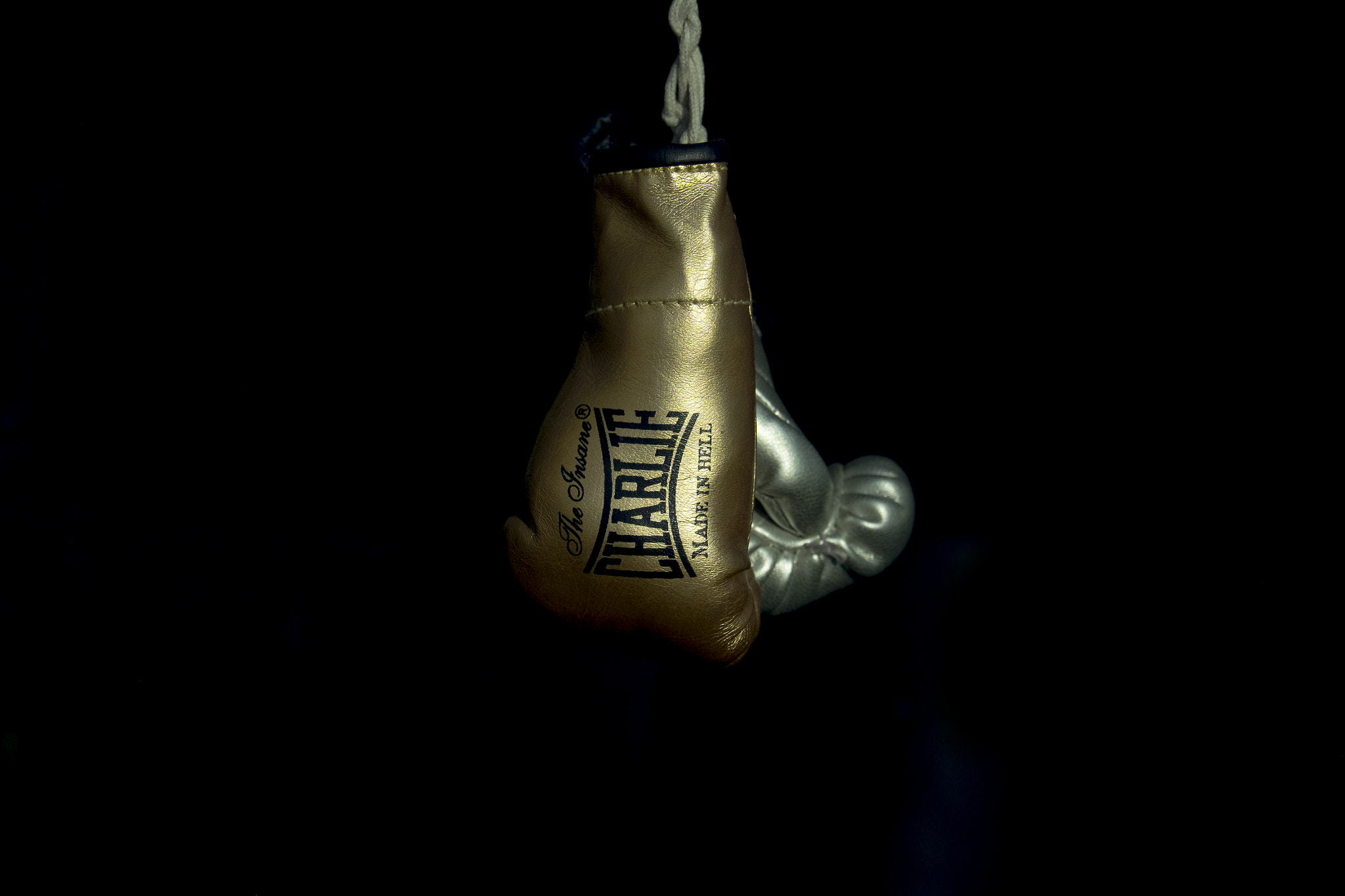 Fujifilm XF 55-200mm F3.5-4.8 R LM OIS sample photo. Boxer. photography