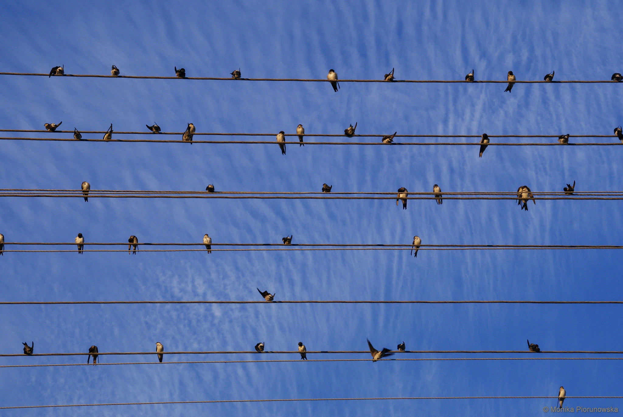 Sony DT 18-200mm F3.5-6.3 sample photo. Notes photography