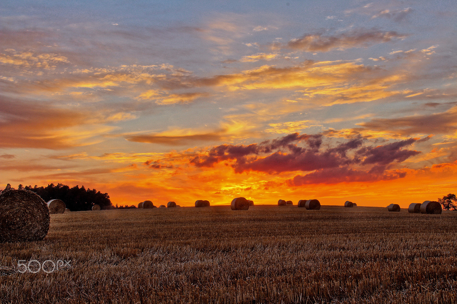 Canon EF-S 18-200mm F3.5-5.6 IS sample photo. Straw sunset photography