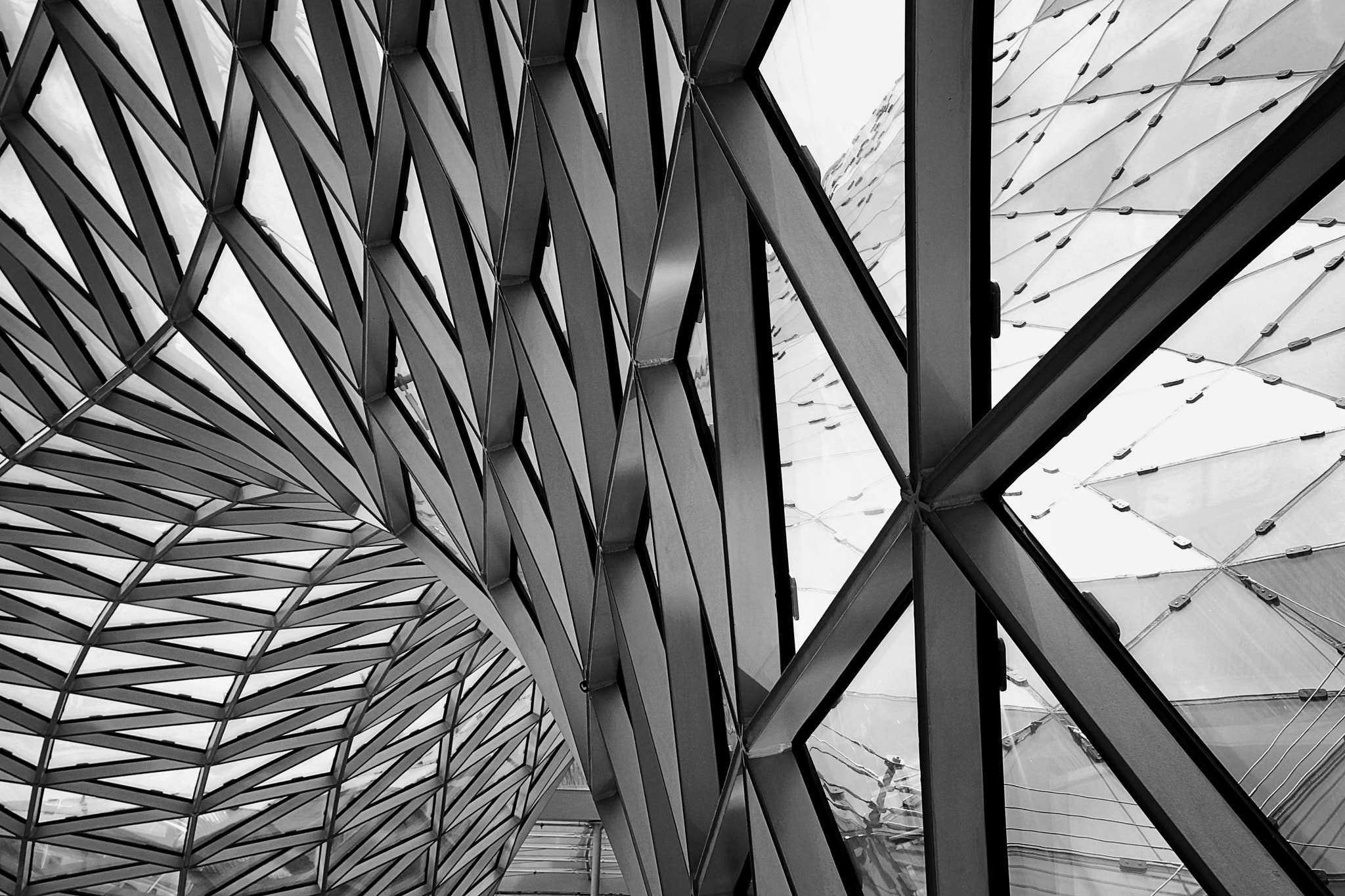 Canon EF-S 18-200mm F3.5-5.6 IS sample photo. Rollercoaster(b/w edition) photography