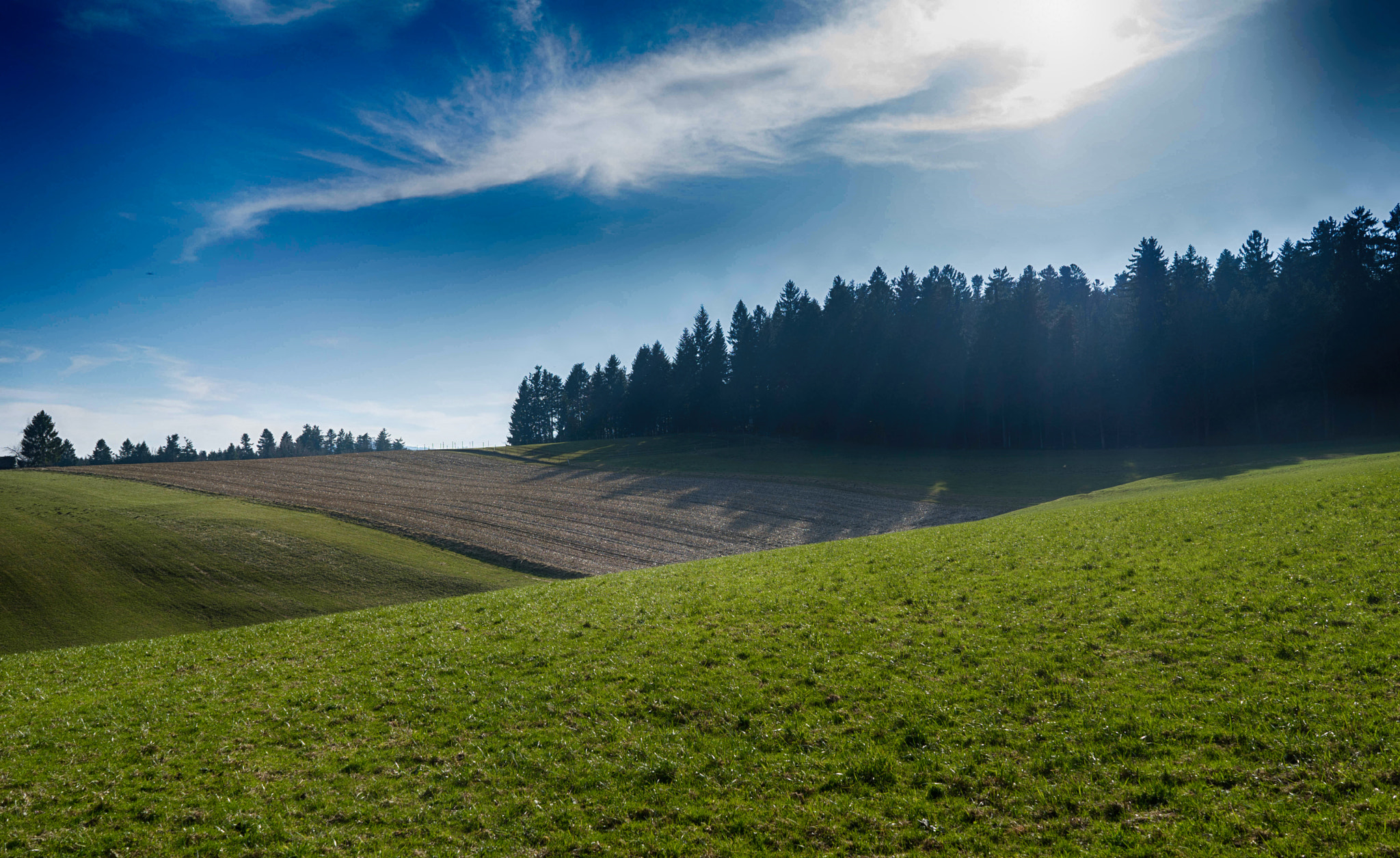 Sony FE 28mm F2 sample photo. Spring photography