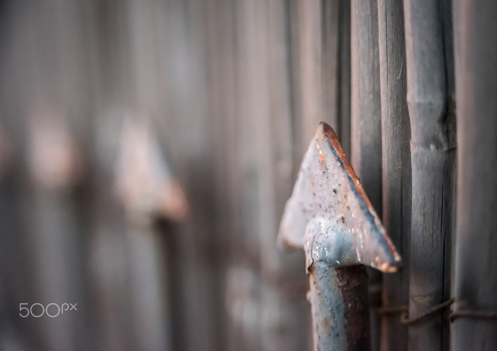 AF Zoom-Nikkor 28-105mm f/3.5-4.5D IF sample photo. Arrow fence photography