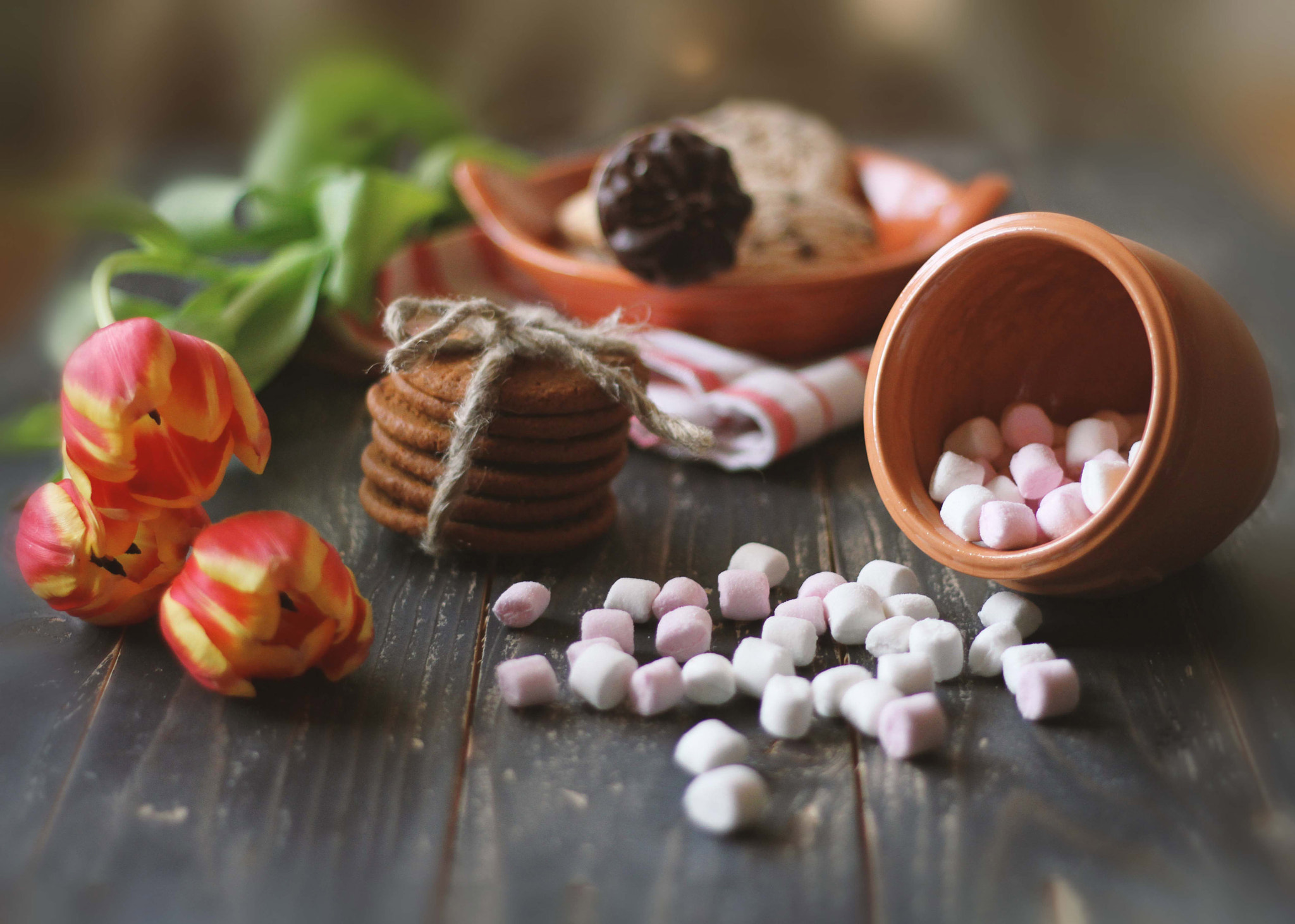 Canon EOS 7D + Canon EF 50mm F1.8 STM sample photo. Tasty treats photography