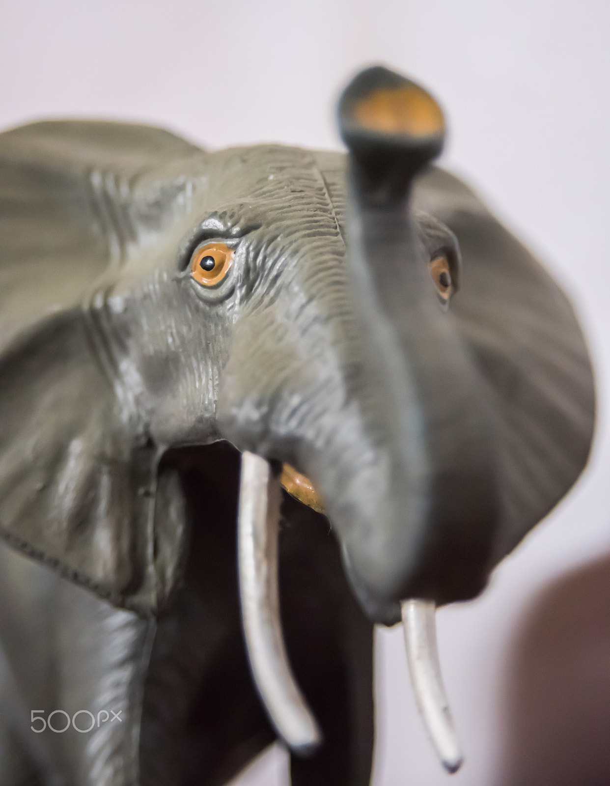 AF Zoom-Nikkor 28-105mm f/3.5-4.5D IF sample photo. Elephant portrait photography