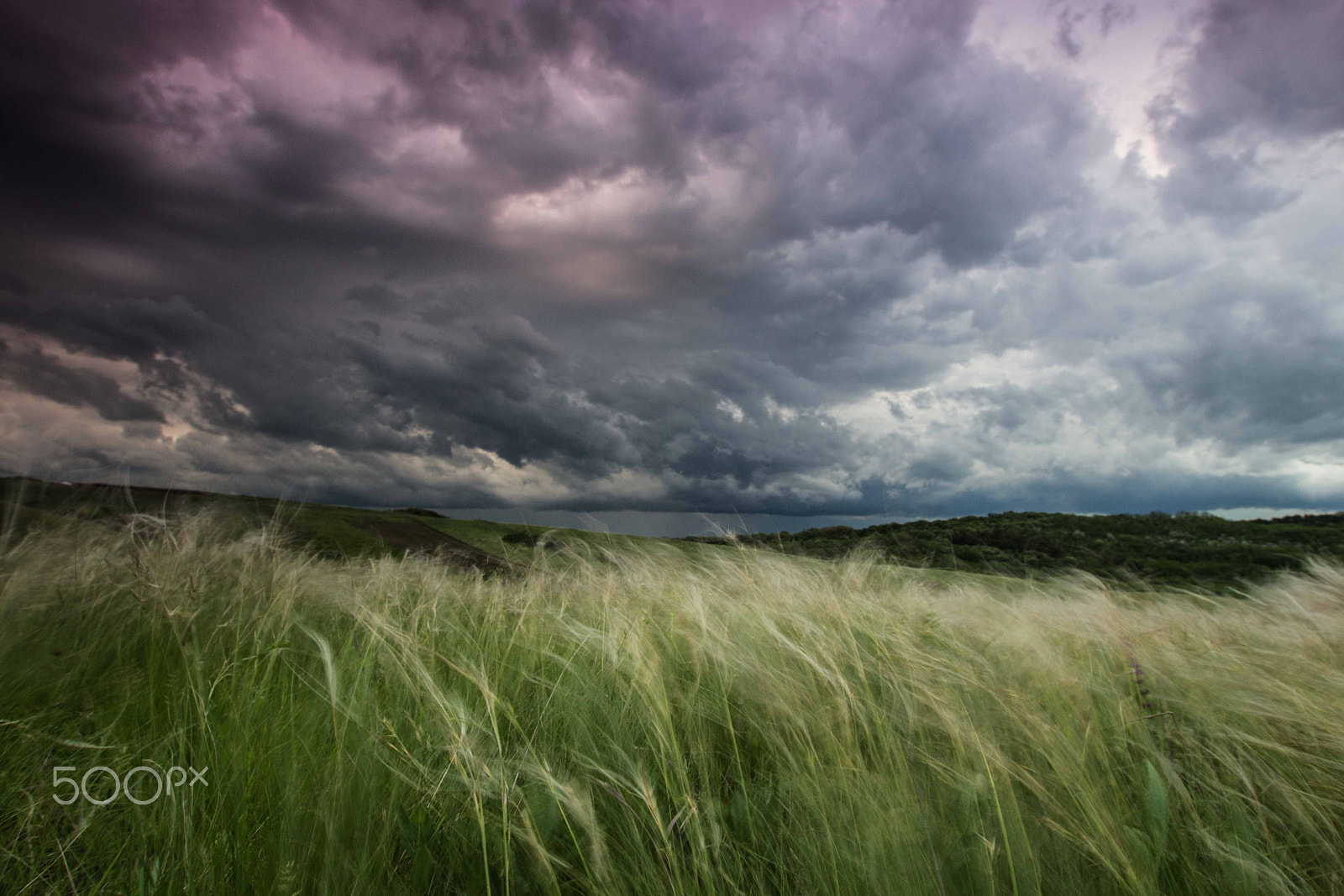 Sigma 10-20mm F3.5 EX DC HSM sample photo. Dream on photography