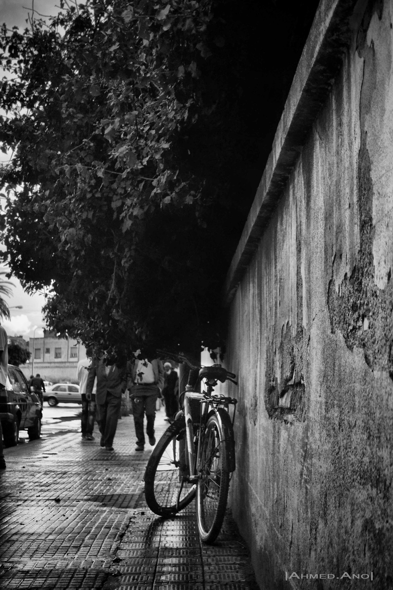 AF Nikkor 28mm f/1.4D sample photo. Sad bicycle photography