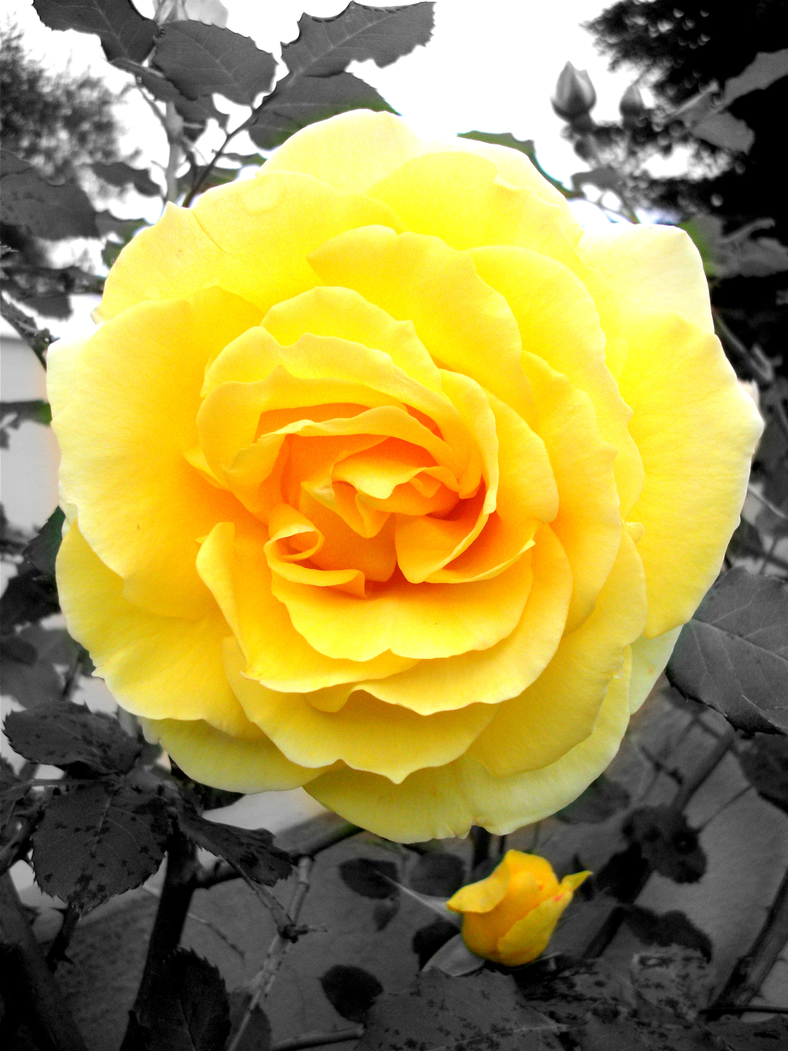 Fujifilm FinePix AV100 sample photo. Perfume factory photography