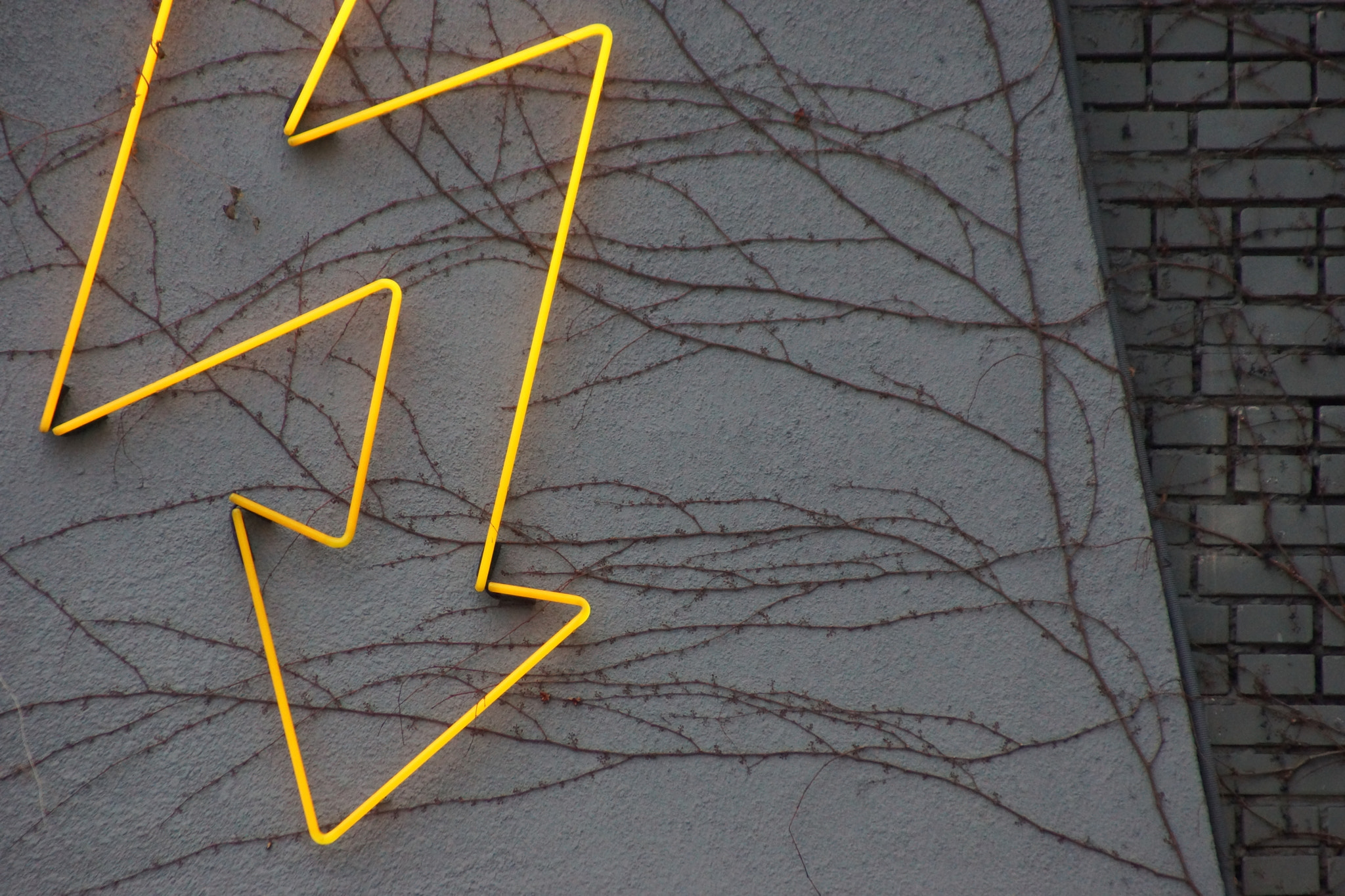 Tamron Lens (255) sample photo. Neon photography